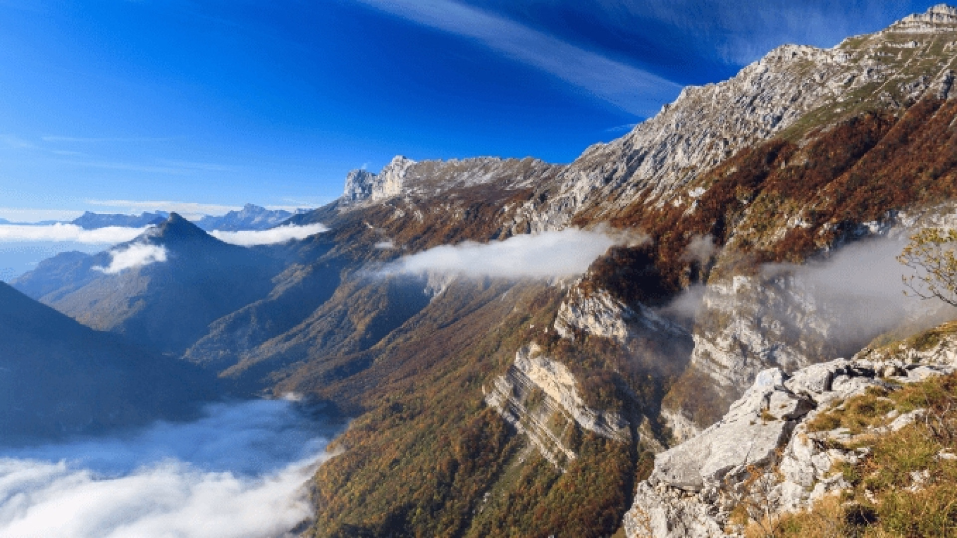 Sur les traces du loup : à la rencontre de votre part sauvage