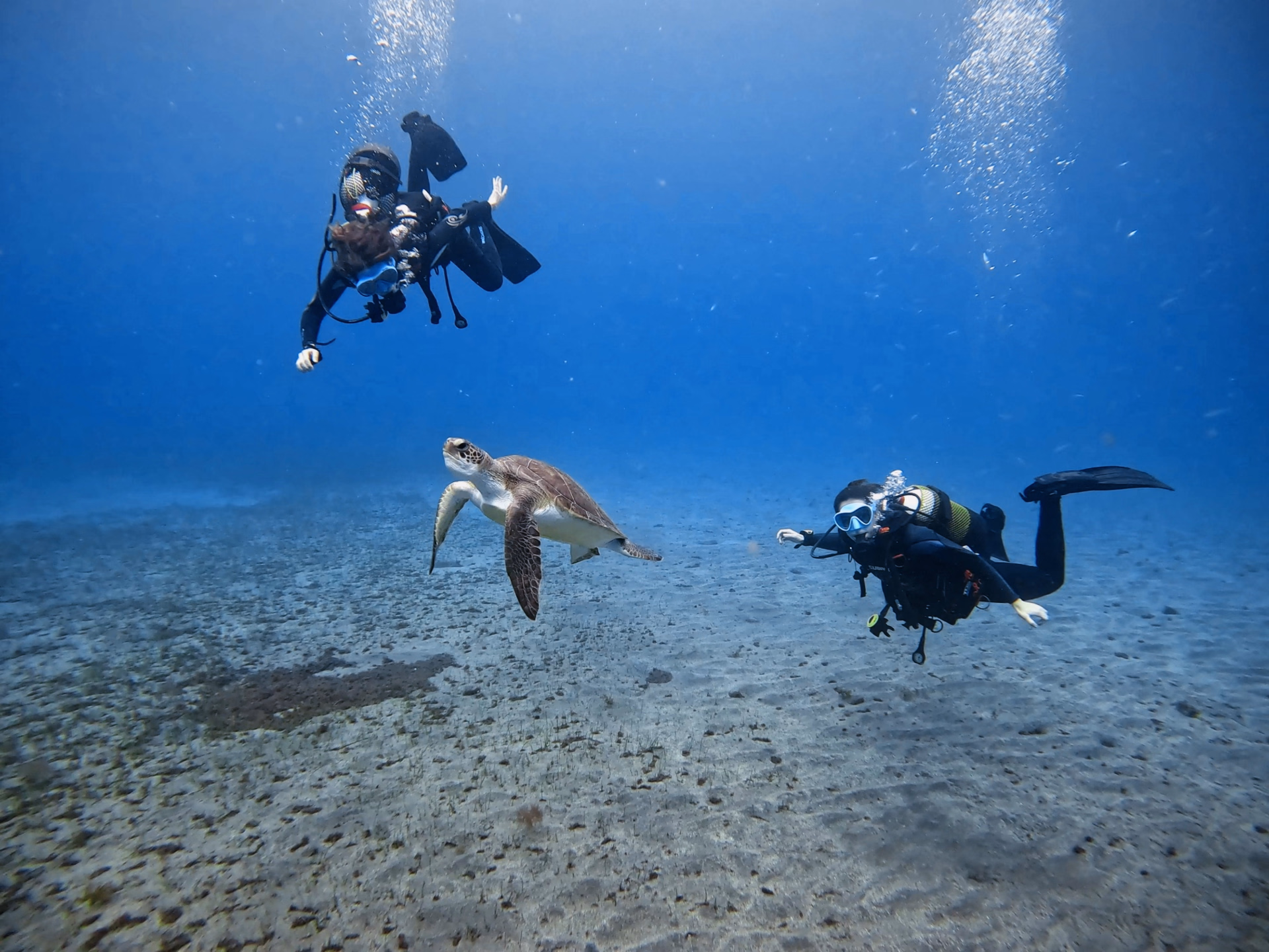 Apprenez la plongée sous-marine à Tenerife : cours Open Water