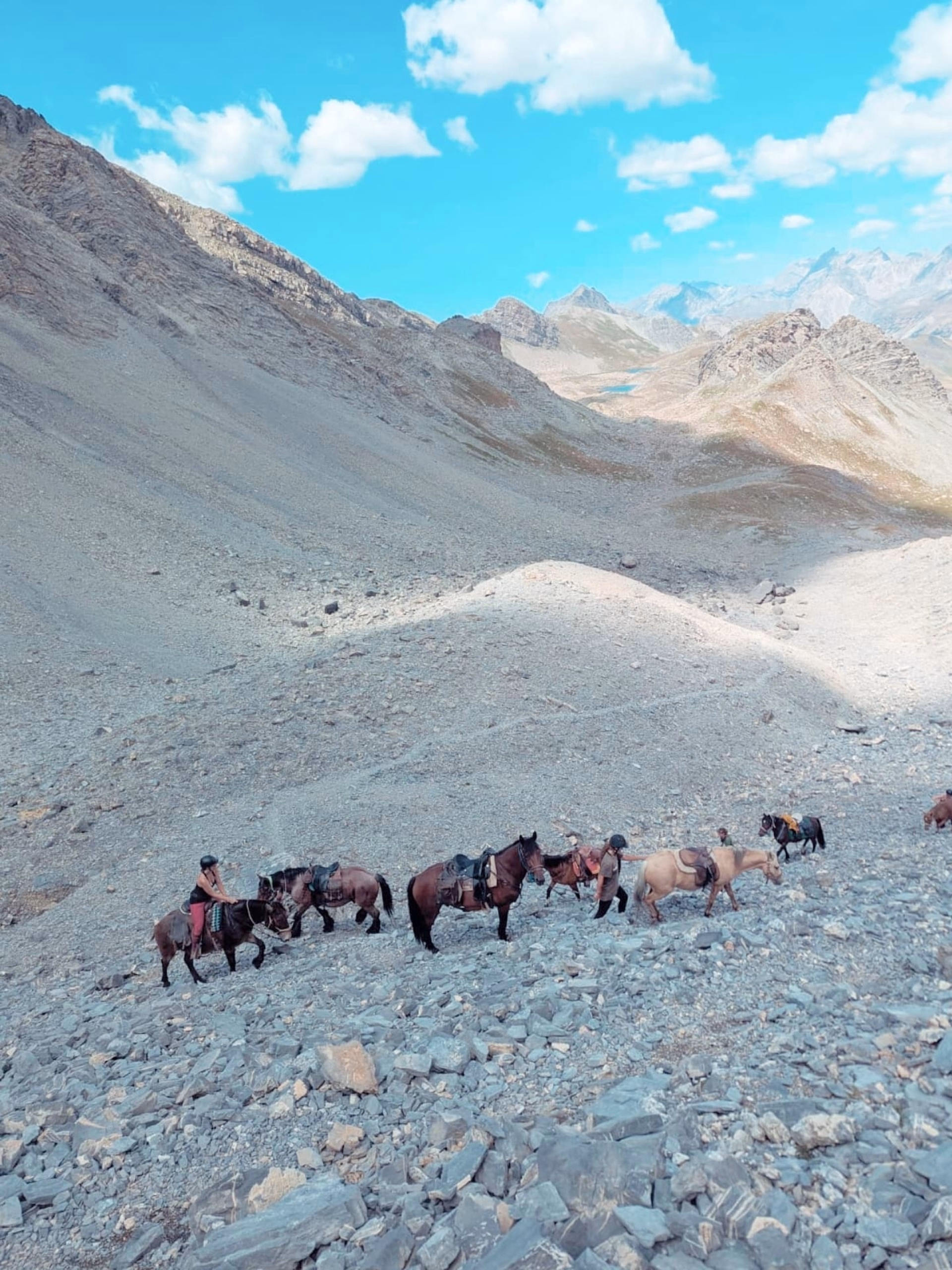 Randonnée équestre et bivouac dans les Alpes, entre France et Italie