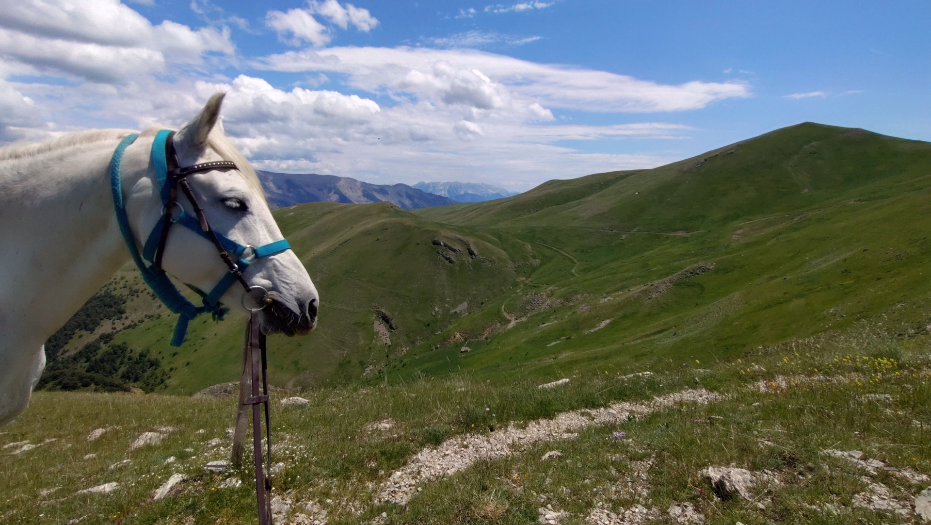 Tour des Monges à cheval