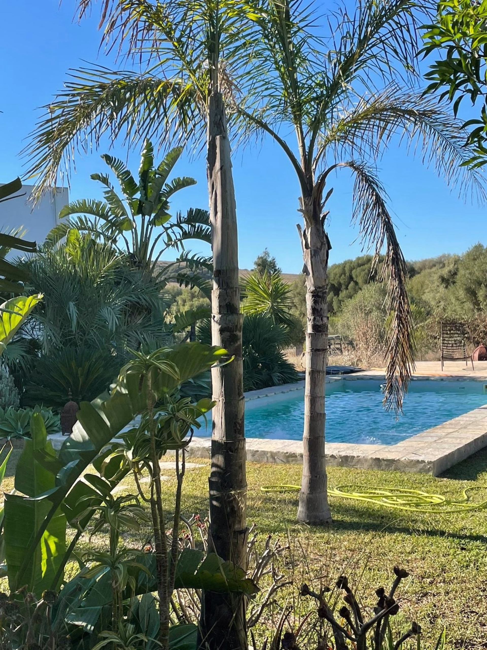 🏠 Villa - Jour 1