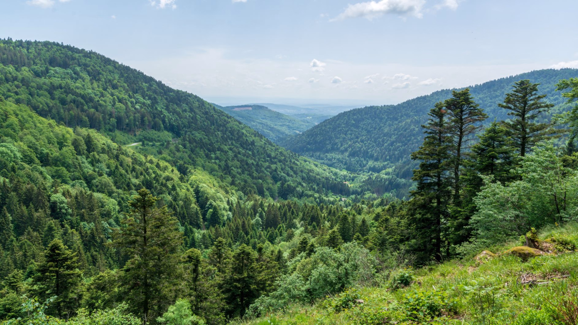 Week-ends et courts séjours sportifs dans les Vosges