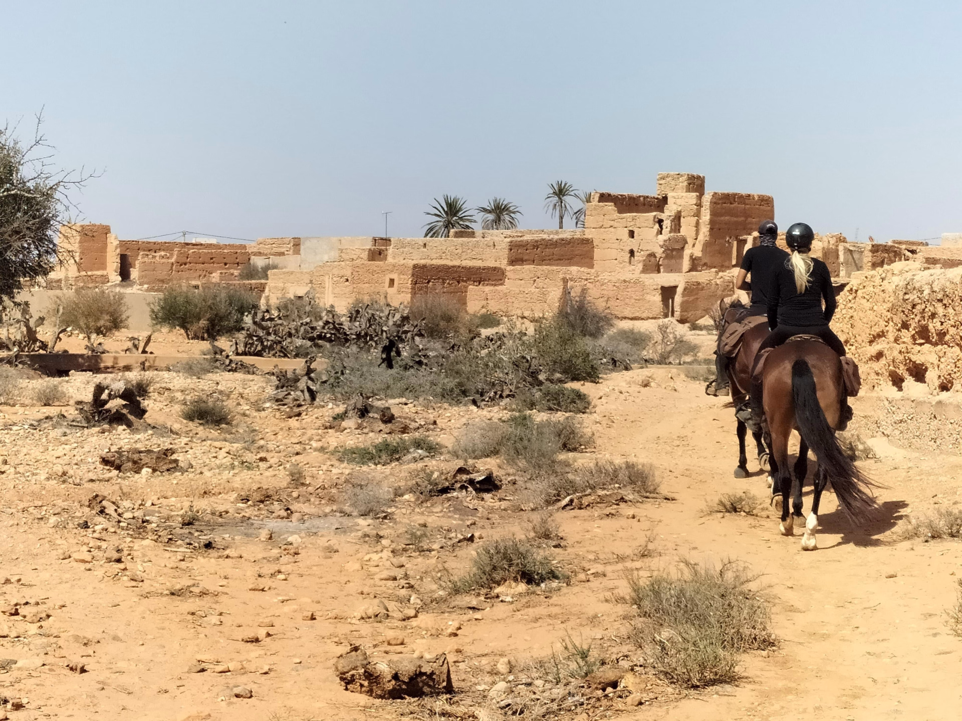 Le Grand Sud Marocain à Cheval : sur les Traces des Nomades Berbères
