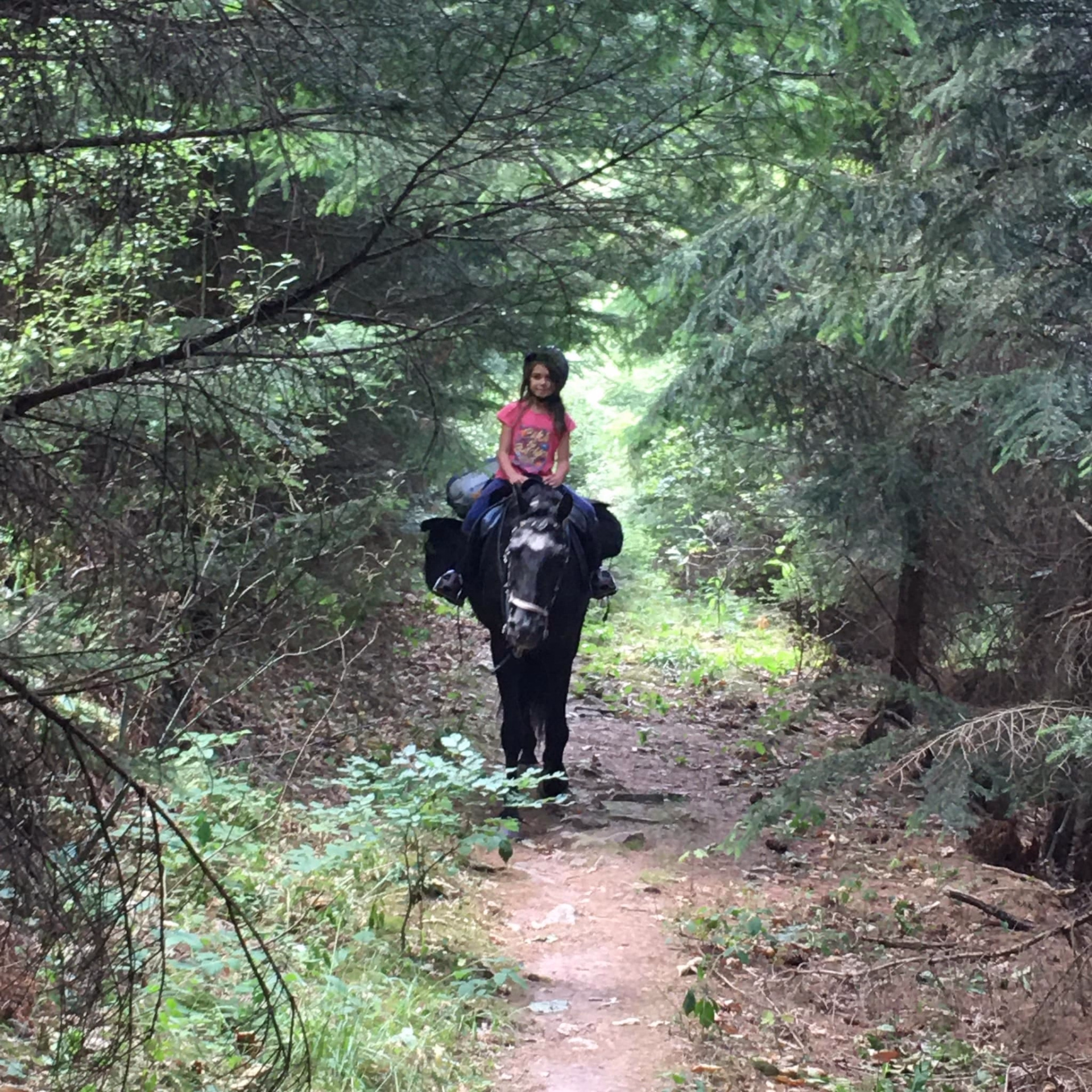 Séjour à cheval entre forêts et panoramas des Vosges