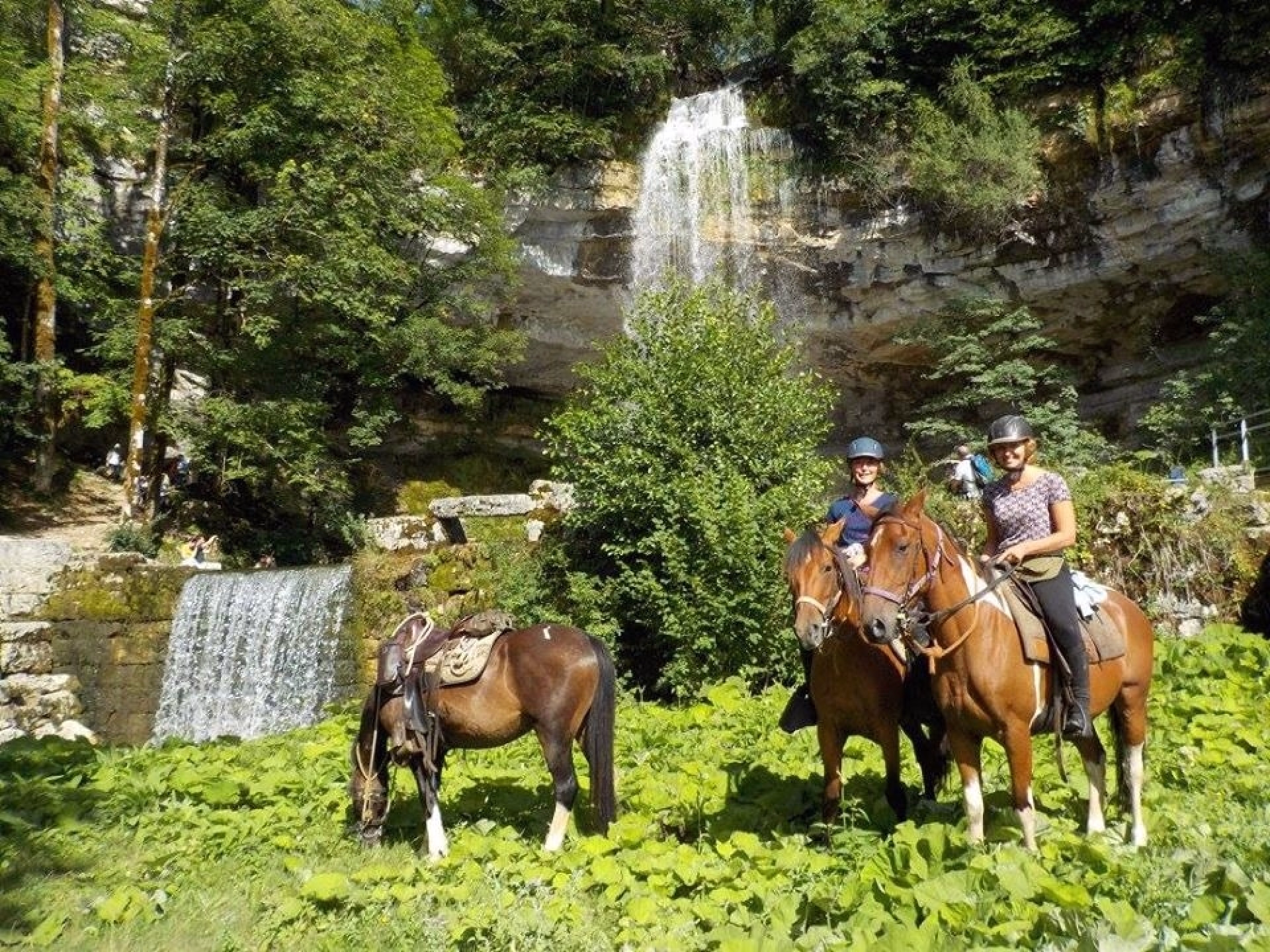 Week-end randonnée équestre au cœur du Haut-Jura