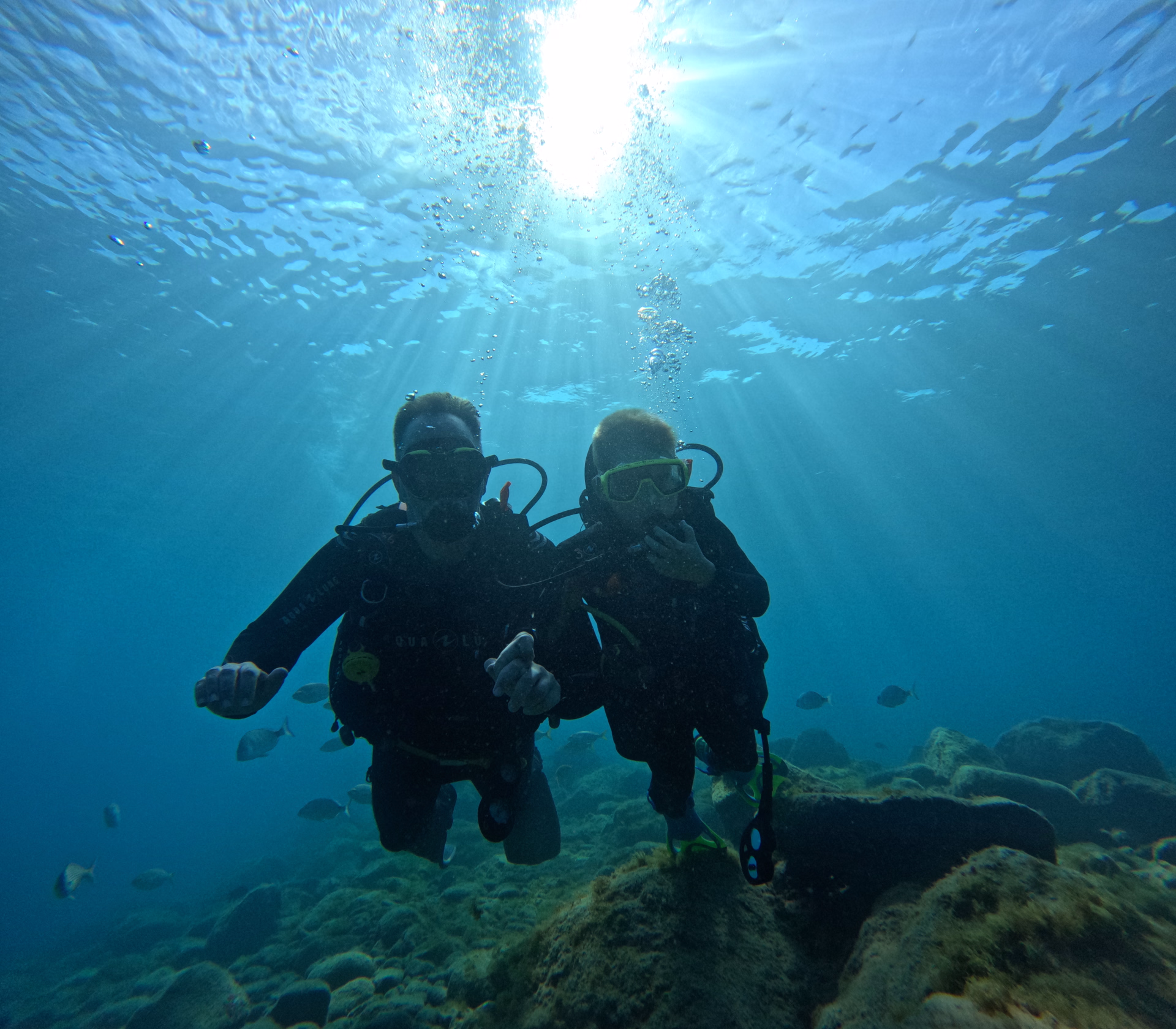 Formation courte PADI Open Water Diver à Tenerife