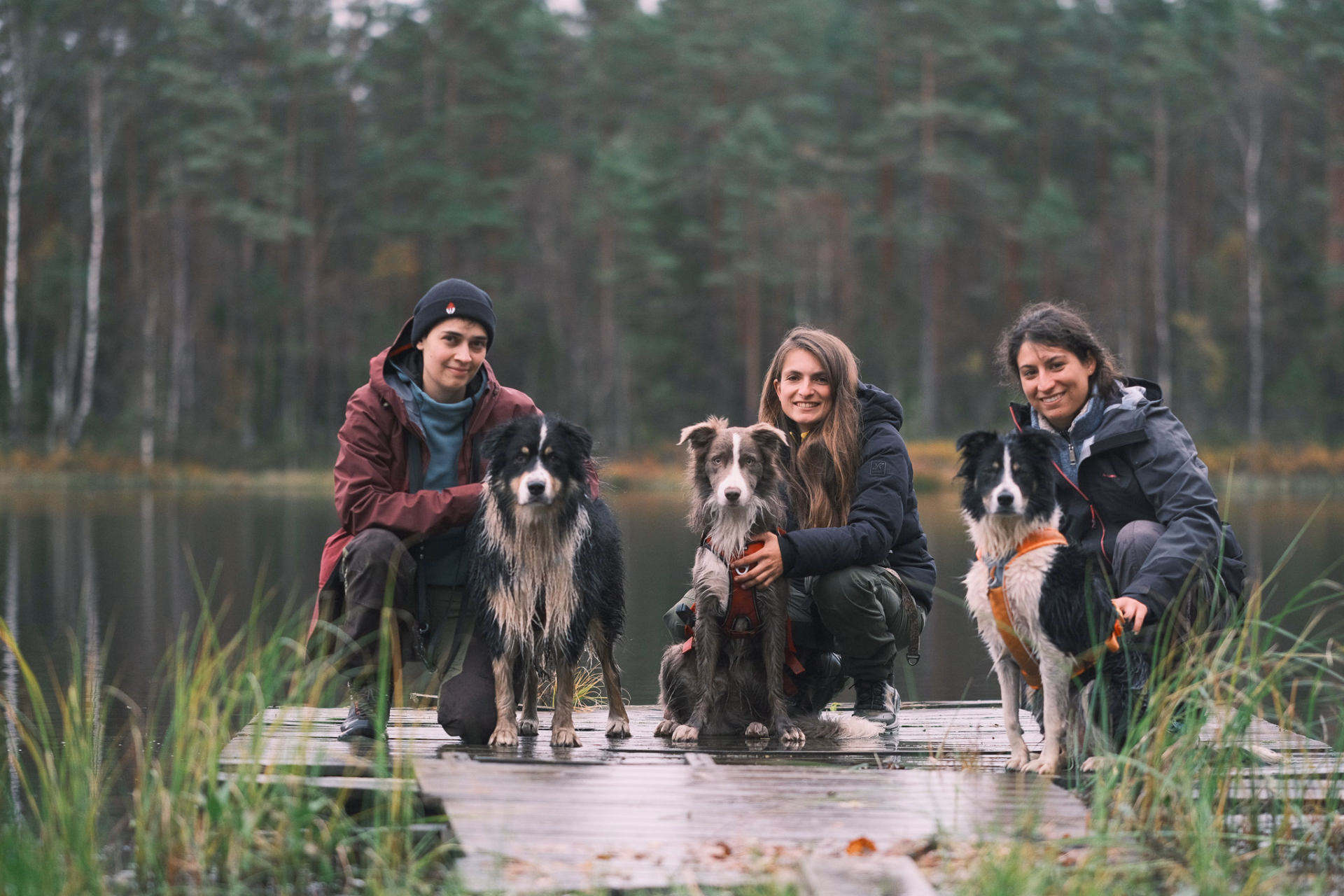 Photo des voyageurs et des chiens pendant le séjour en Suède © Photo des voyageurs et des chiens pendant le séjour en Suède