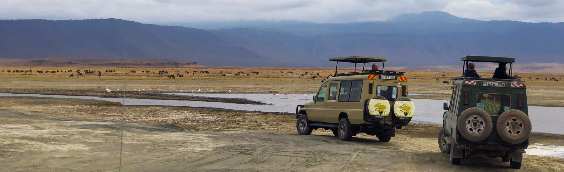 Immersion dans le bush en Tanzanie avec les Hadzabé