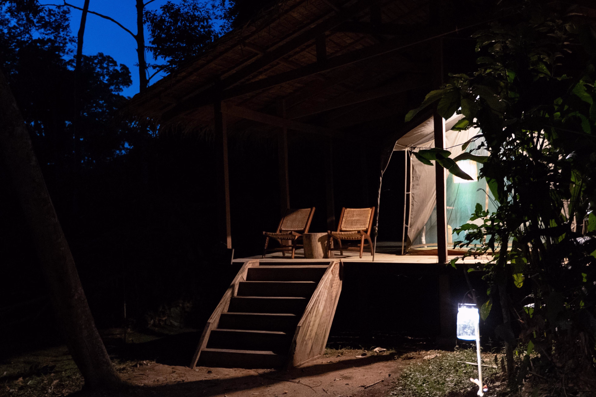 Expédition au coeur de la grande forêt du Congo