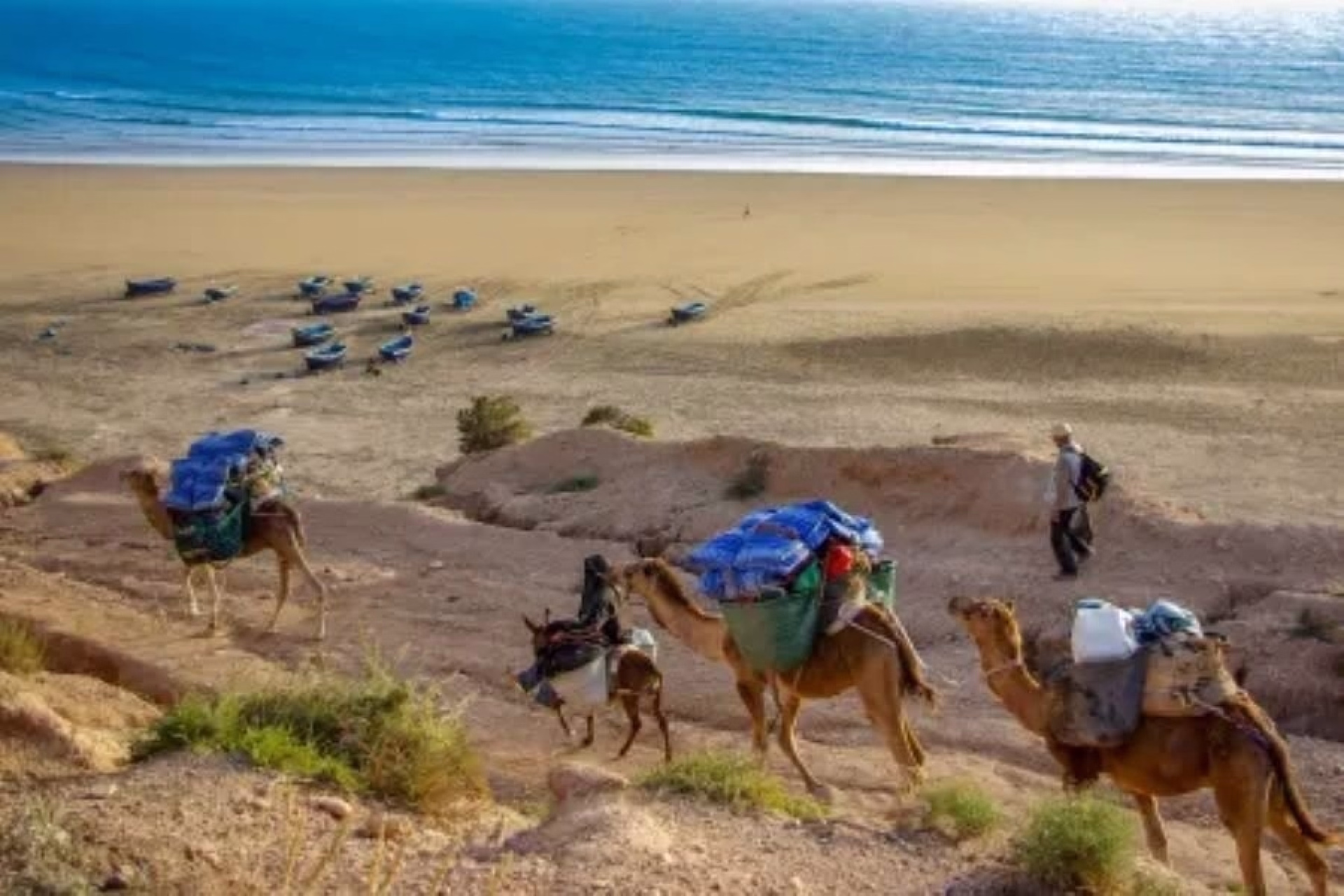 Randonnée de 6 jours le long de la côte atlantique marocaine