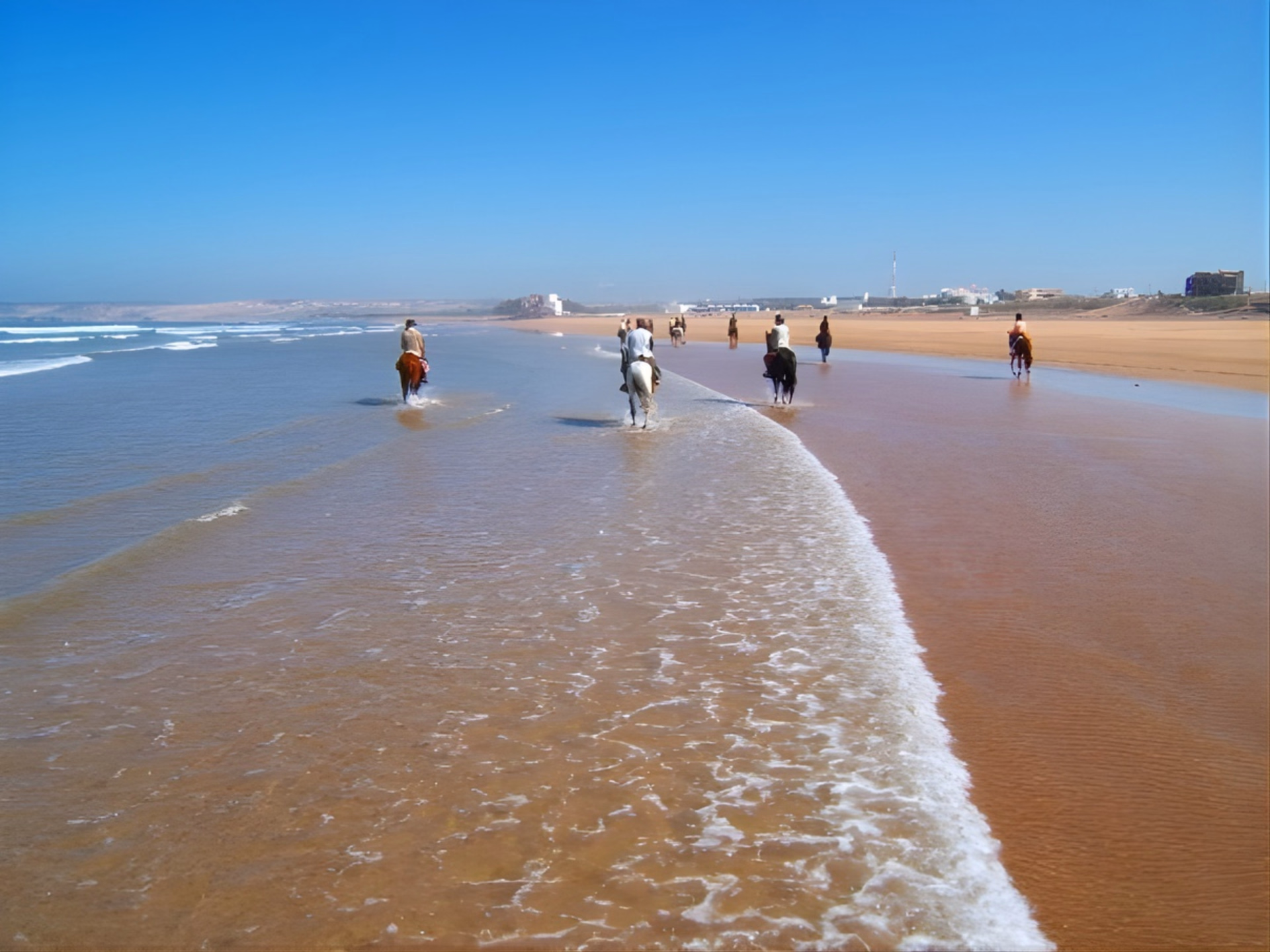 Randonnée équestre et bivouac sur les côtes marocaines
