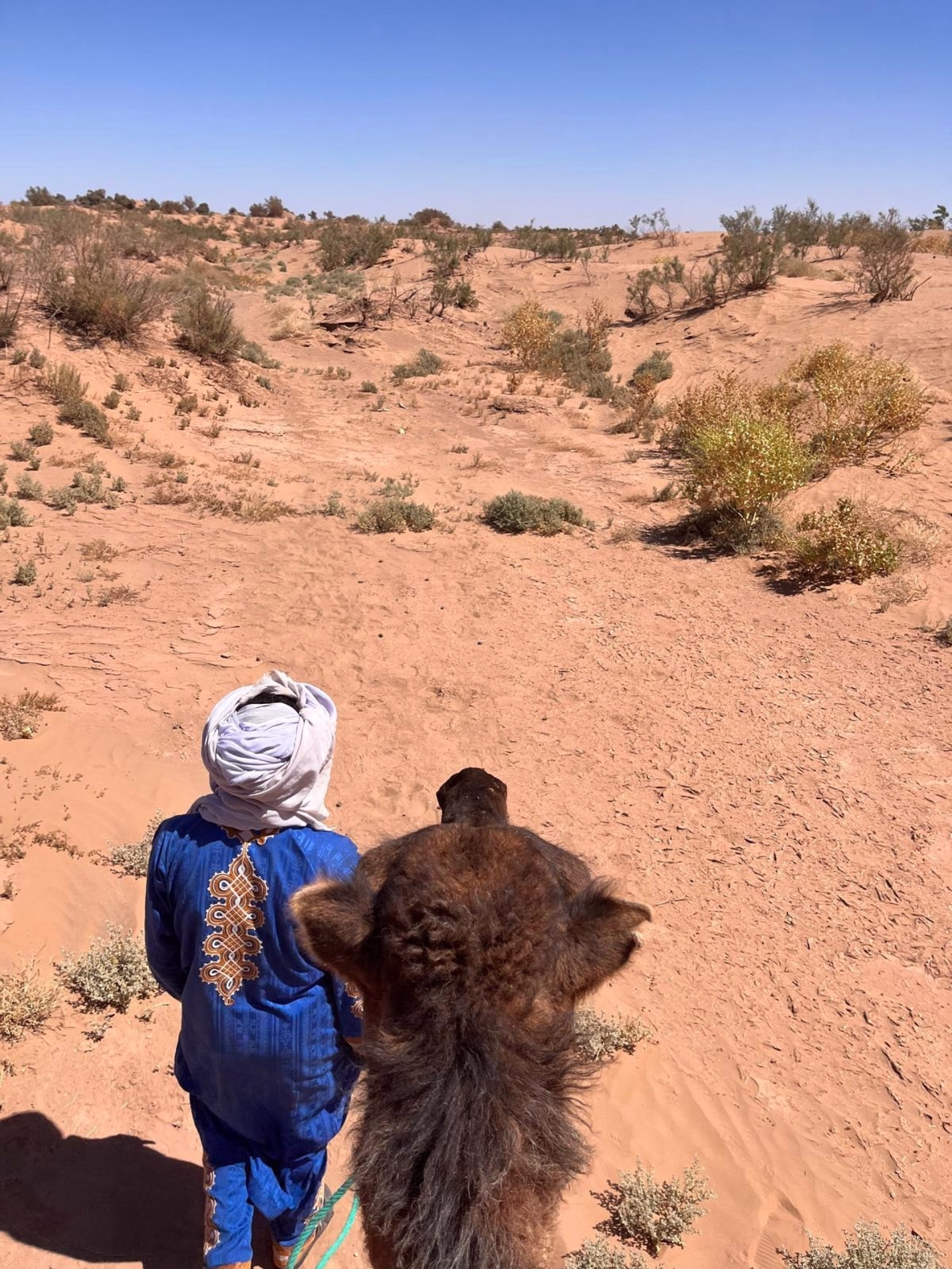 4 jours au cœur des dunes du Sahara marocain