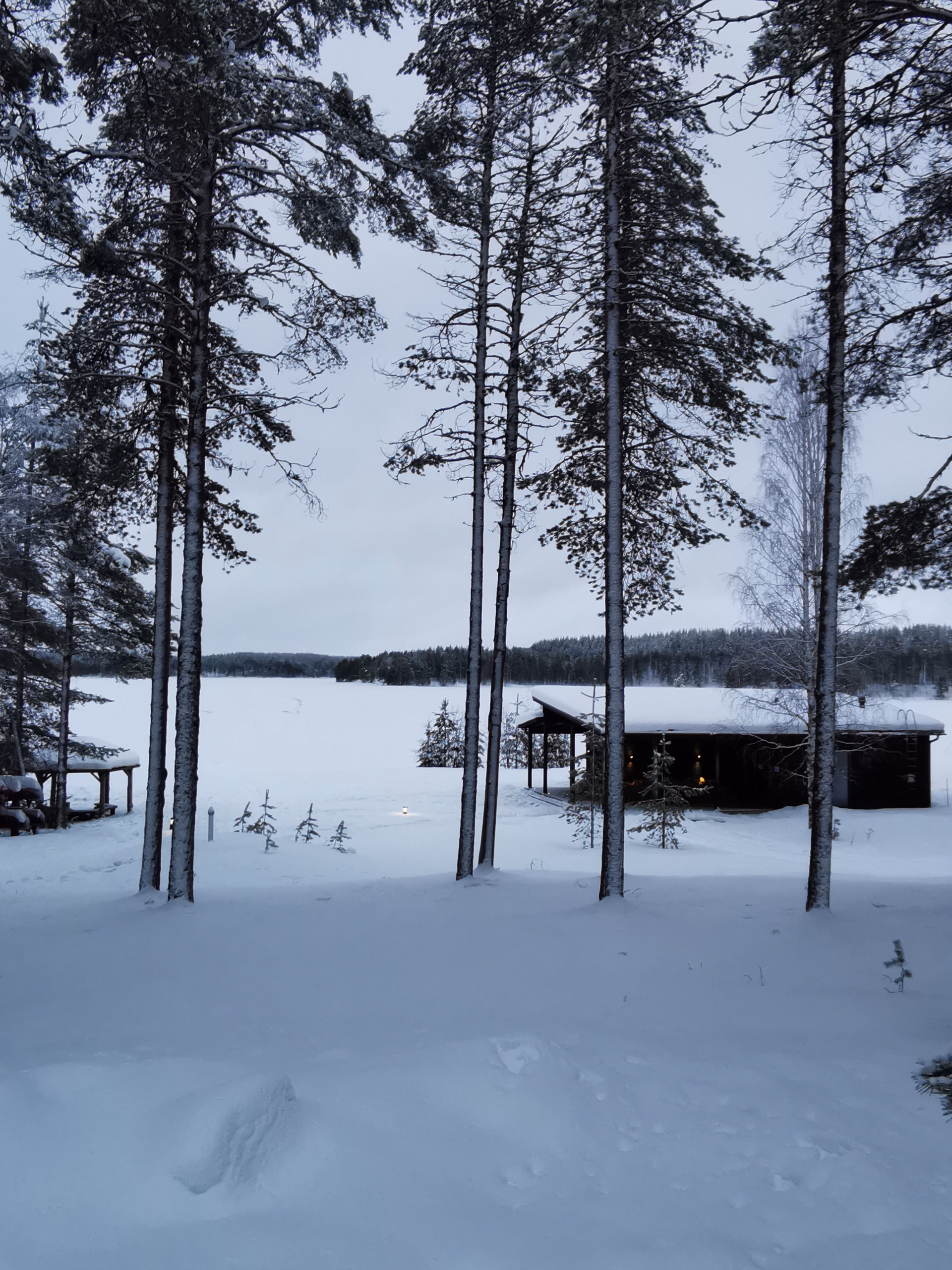 Séjour hivernal en Finlande