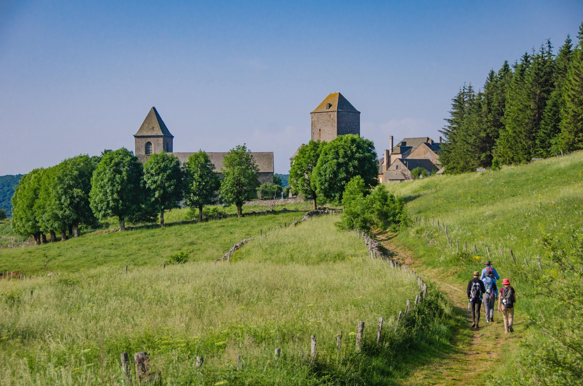 Vachement randonnée au coeur de l'Aubrac