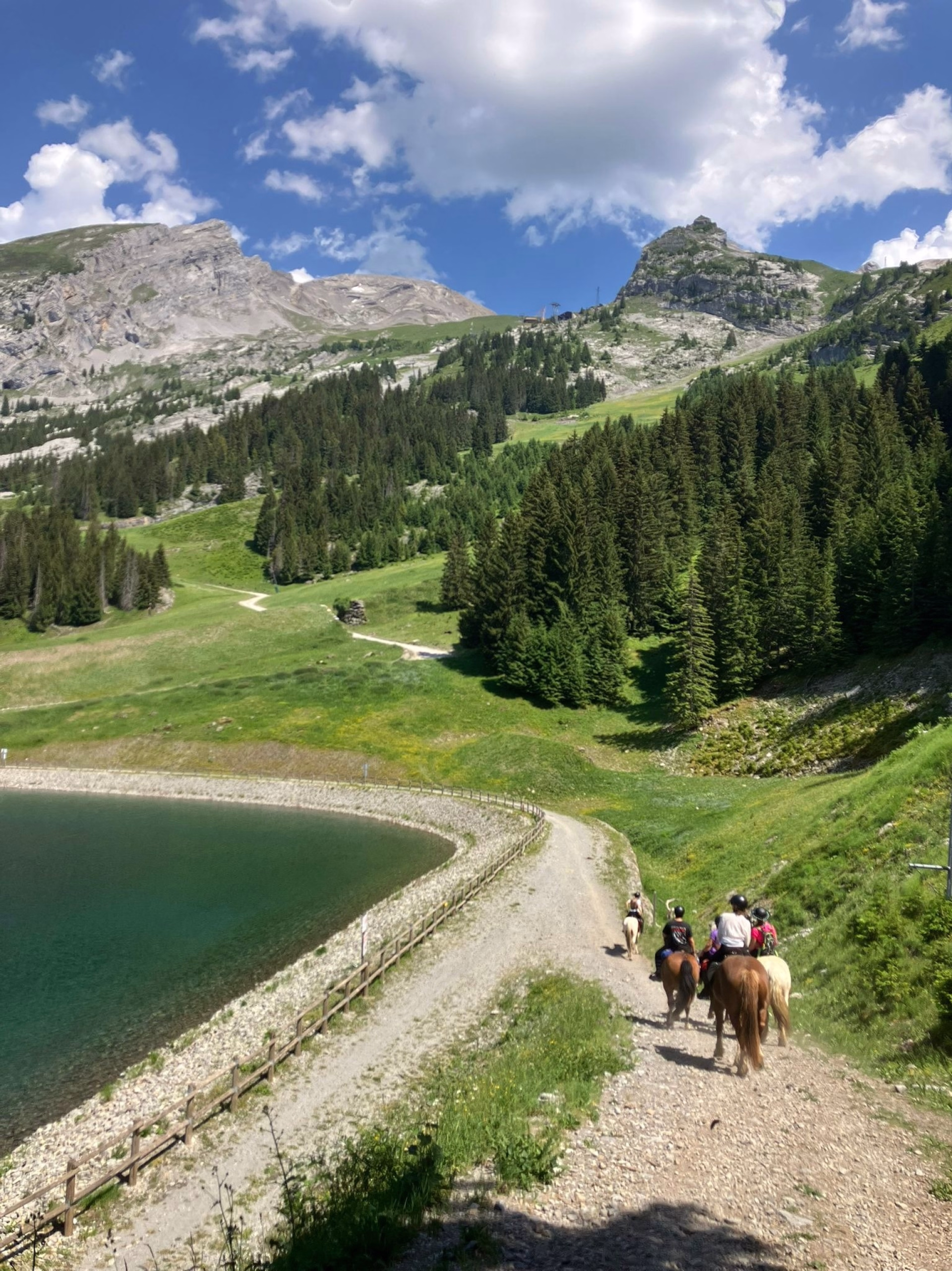 Séjour cheval et bien être dans les Aravis