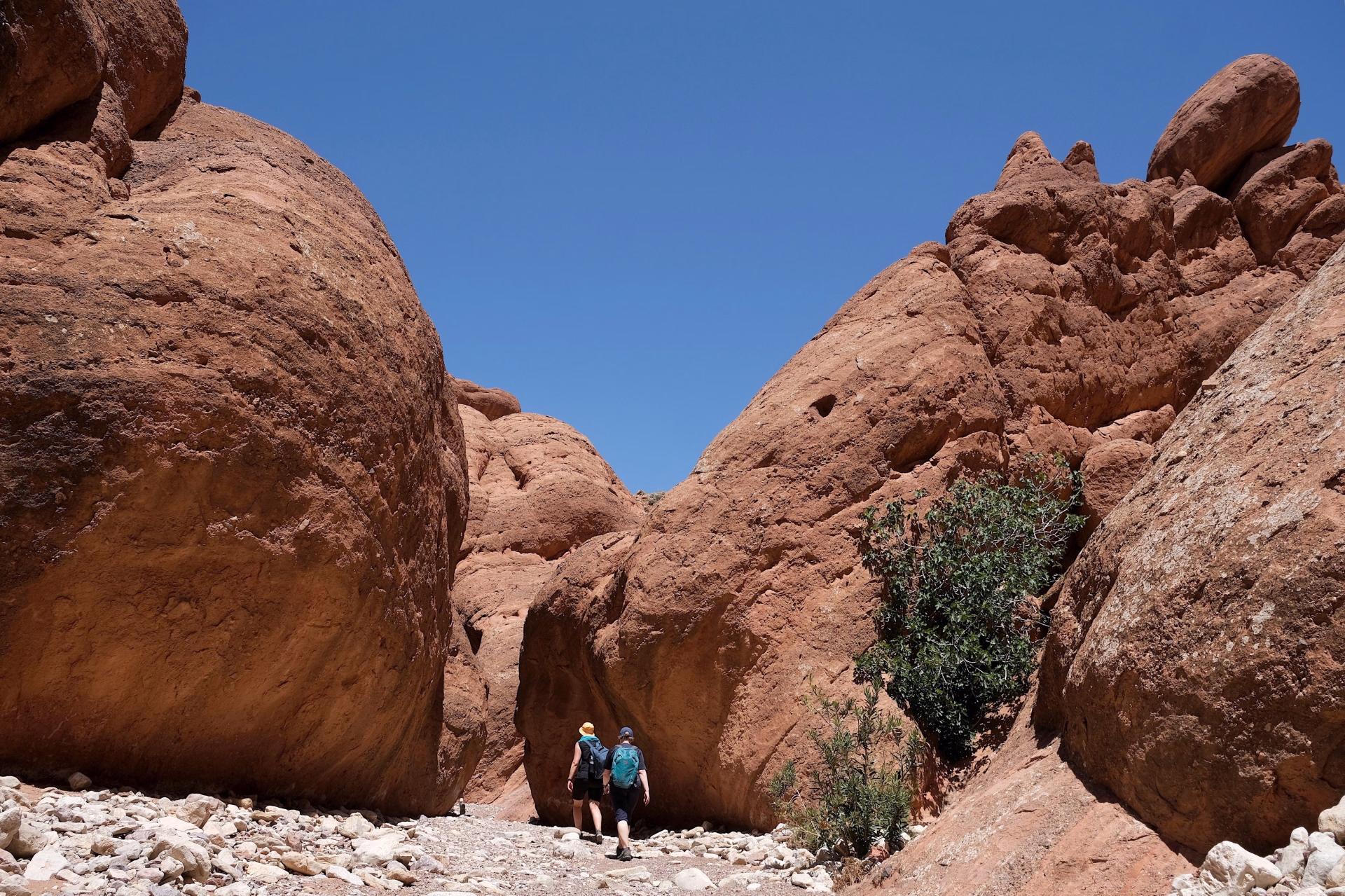 Randonnée estivale au Maroc : Vallée de l’Ounila et Vallée des Roses