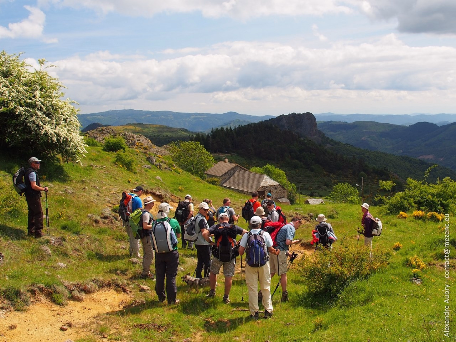 Randonnées volcaniques au cœur du massif Mézenc-Gerbier