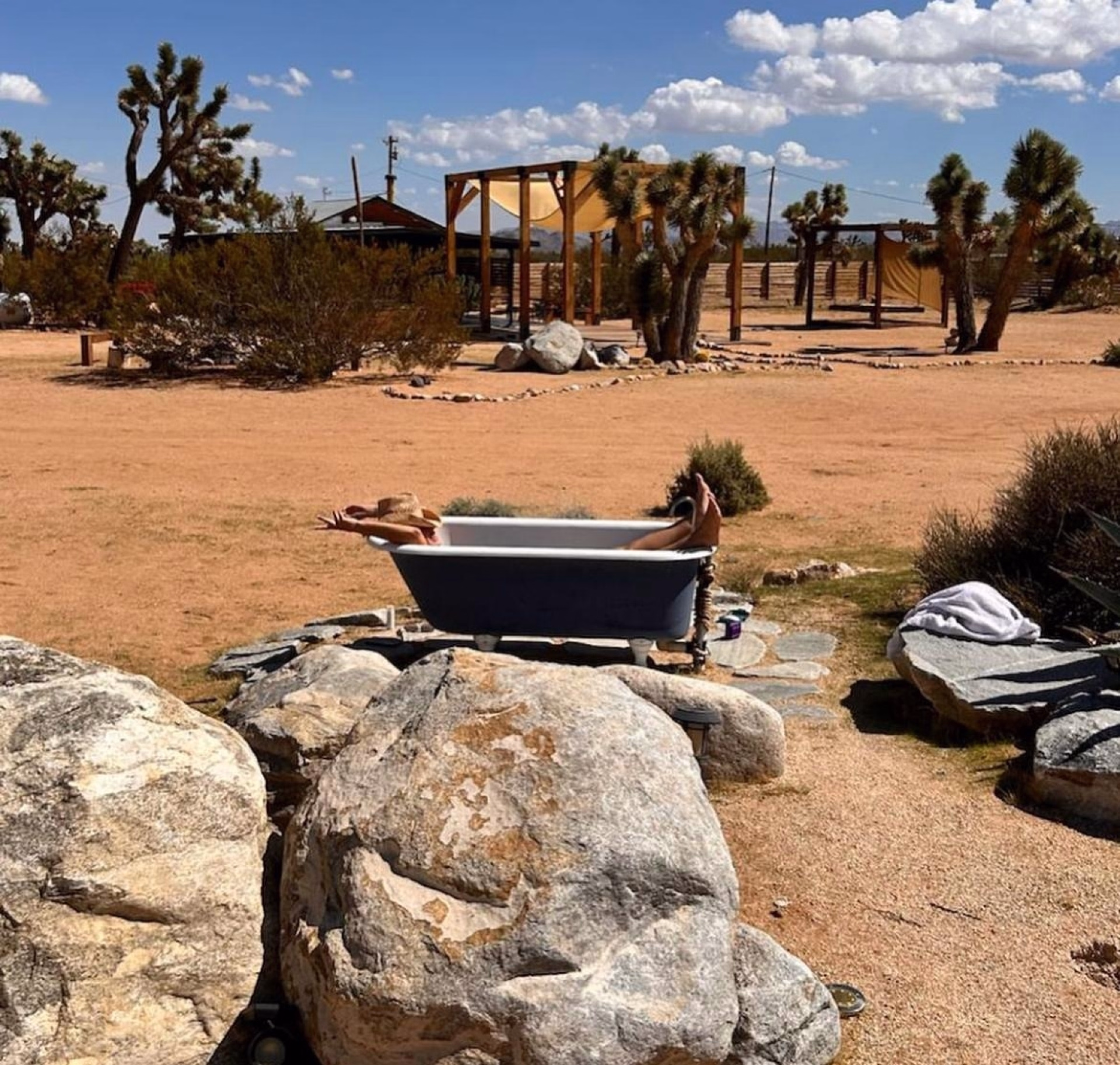 Désert sauvage — 6 jours de yoga & d'aventure à Joshua Tree