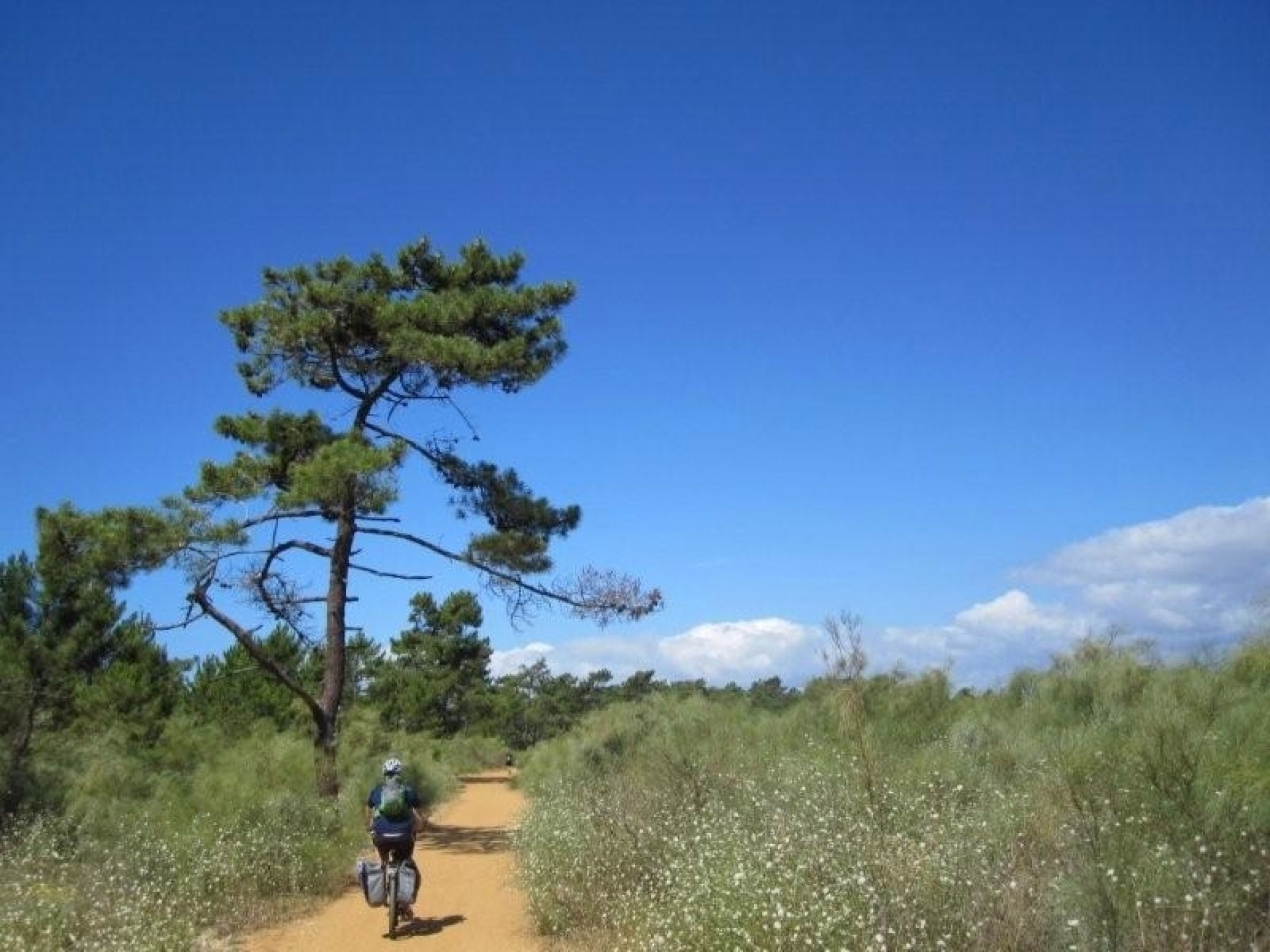 Parcourir à vélo l'Algarve occidentale, entre les montagnes et la côte
