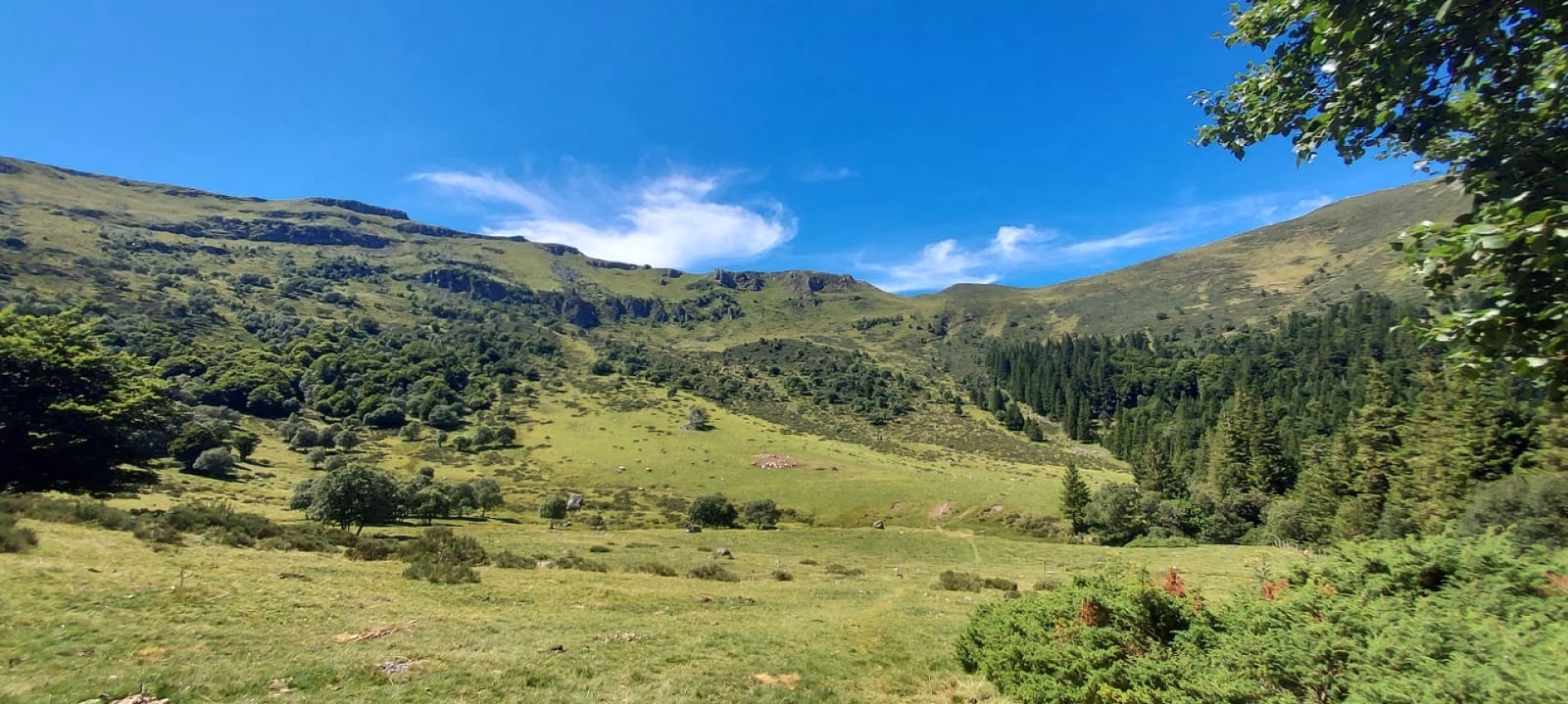 Randonnées pédestres sur le grand volcan du Cantal