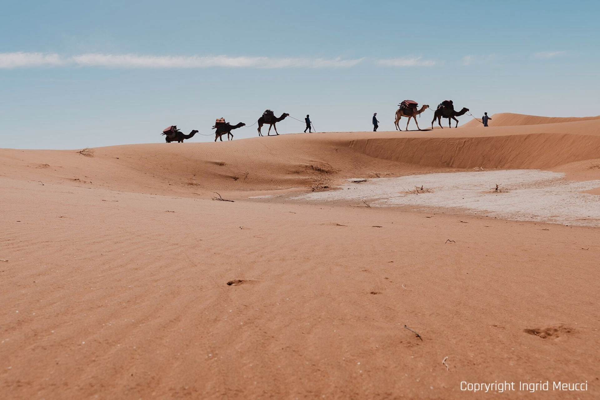 Trek dans le désert marocain 6 jours et 5 nuits au départ de Marrakech
