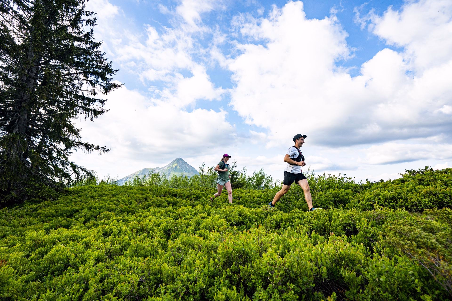 Randonnée en liberté à Châtel avec confort et saveurs locales