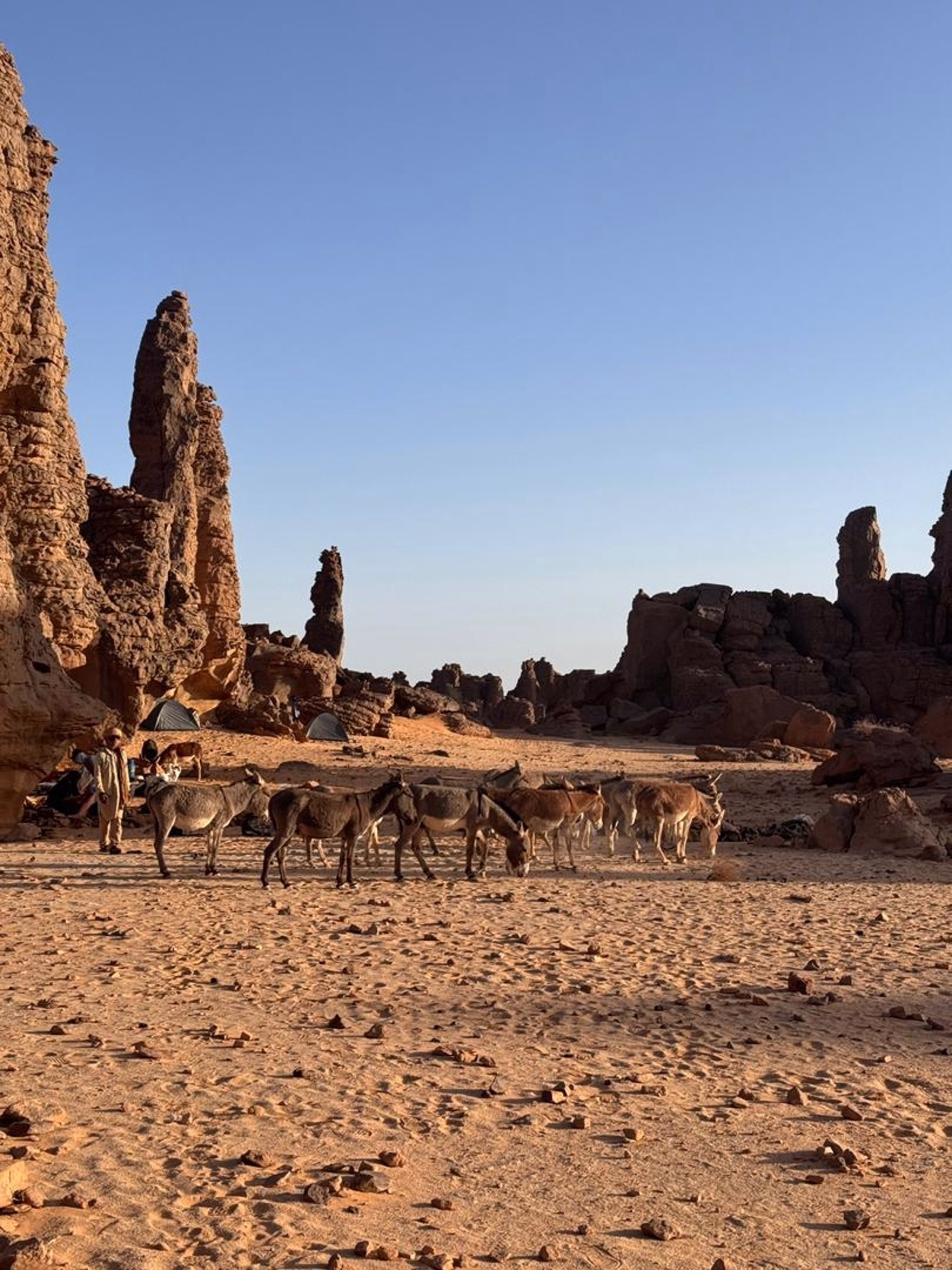Trek saharien au plateau de Sefar à Djanet