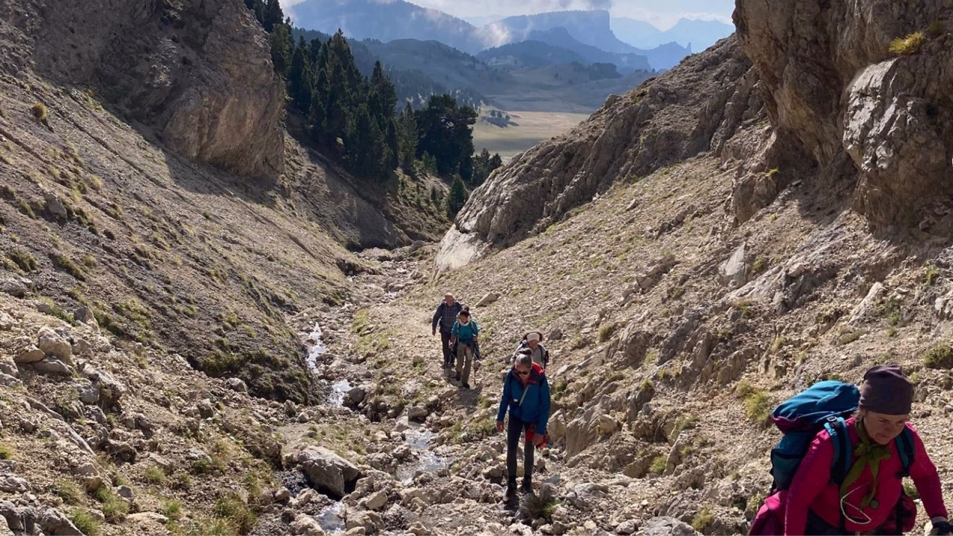 Sur les traces du loup : à la rencontre de votre part sauvage