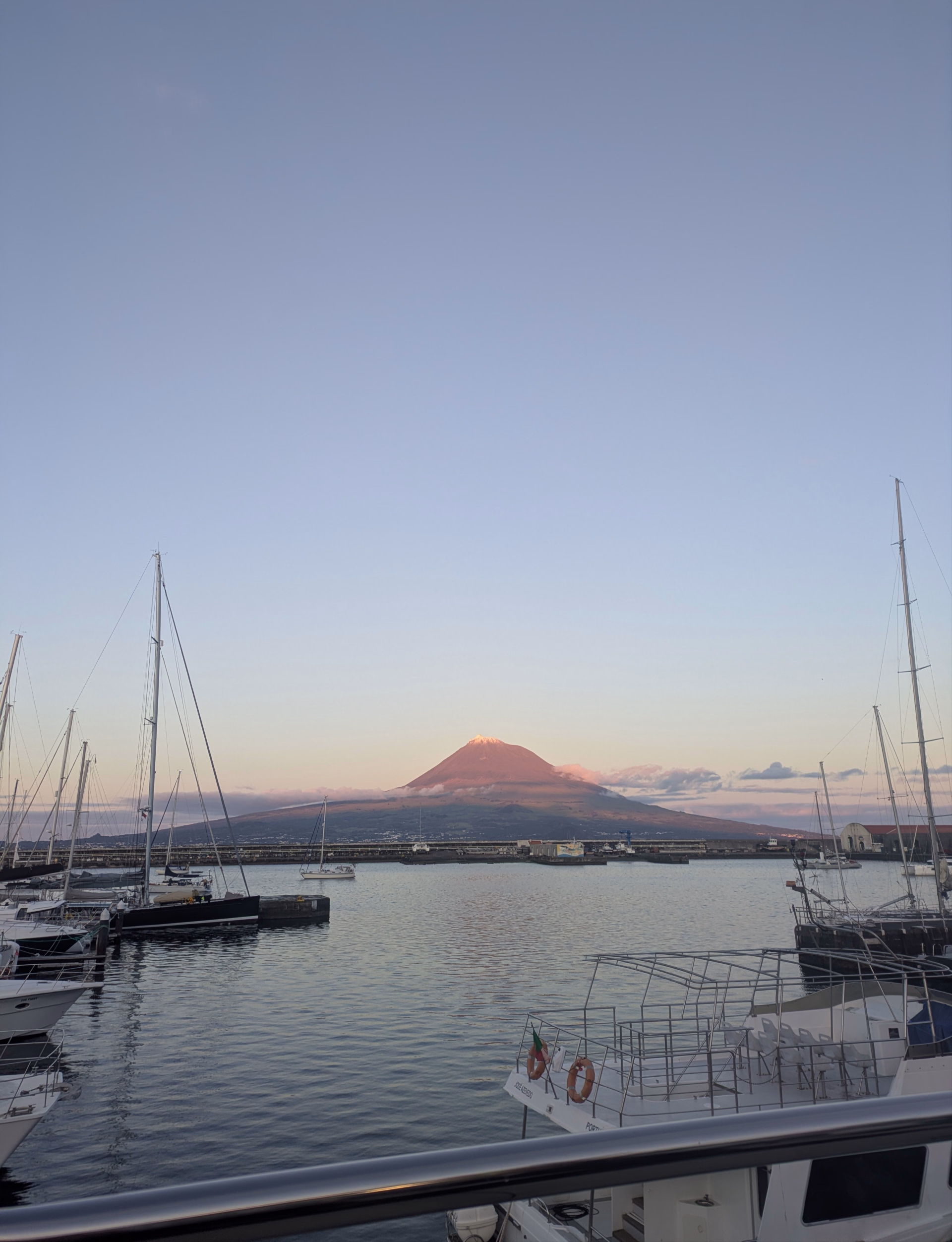 Stage de voile habitable et faune marine aux Açores