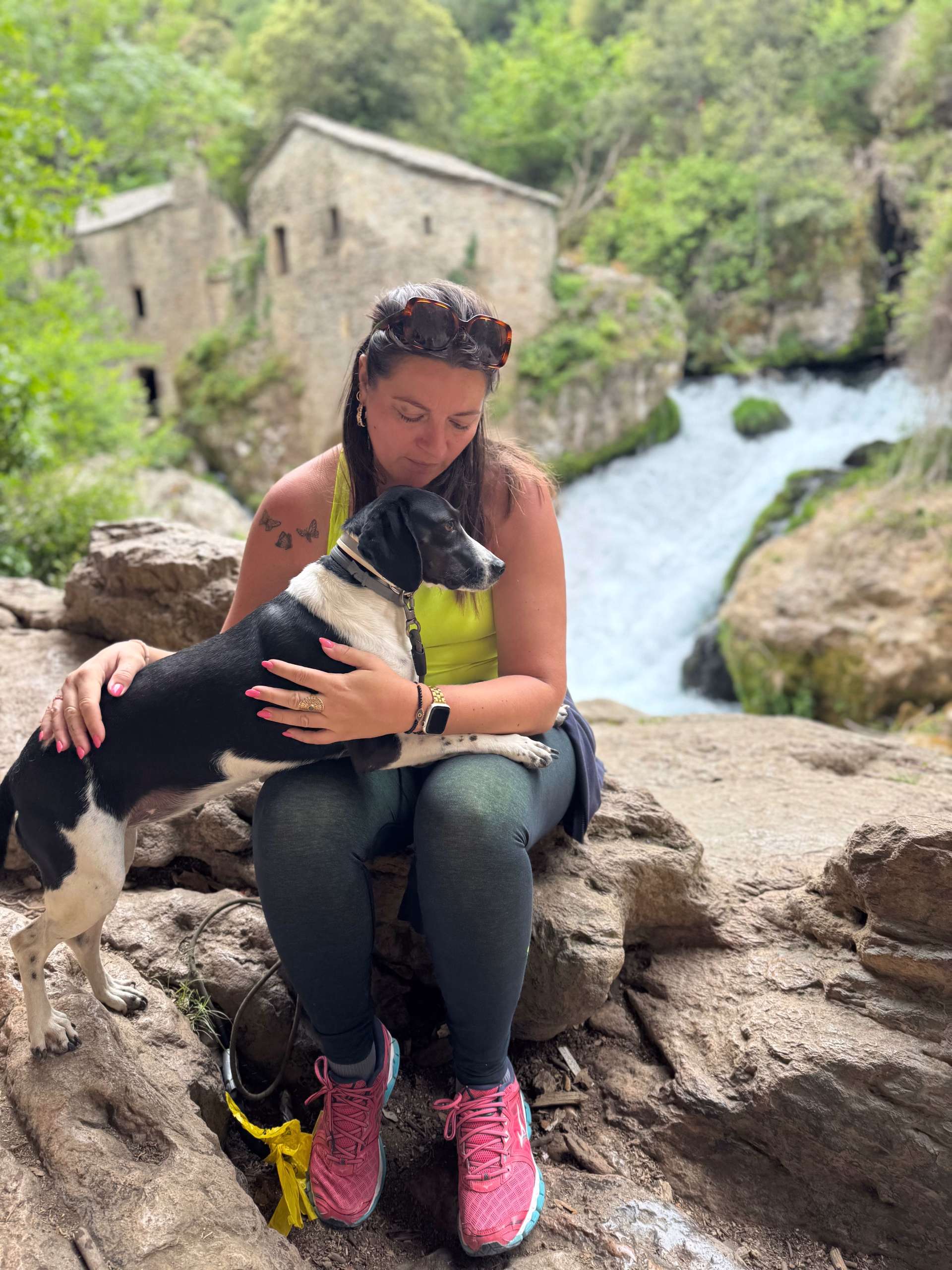 Séjour randonnée et doga dans le Gard avec votre chien