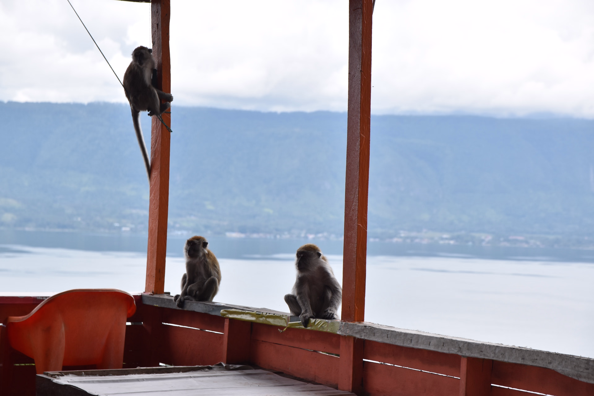 Sumatra Nord en vélo électrique : Lac Toba et jungle de Sumatra
