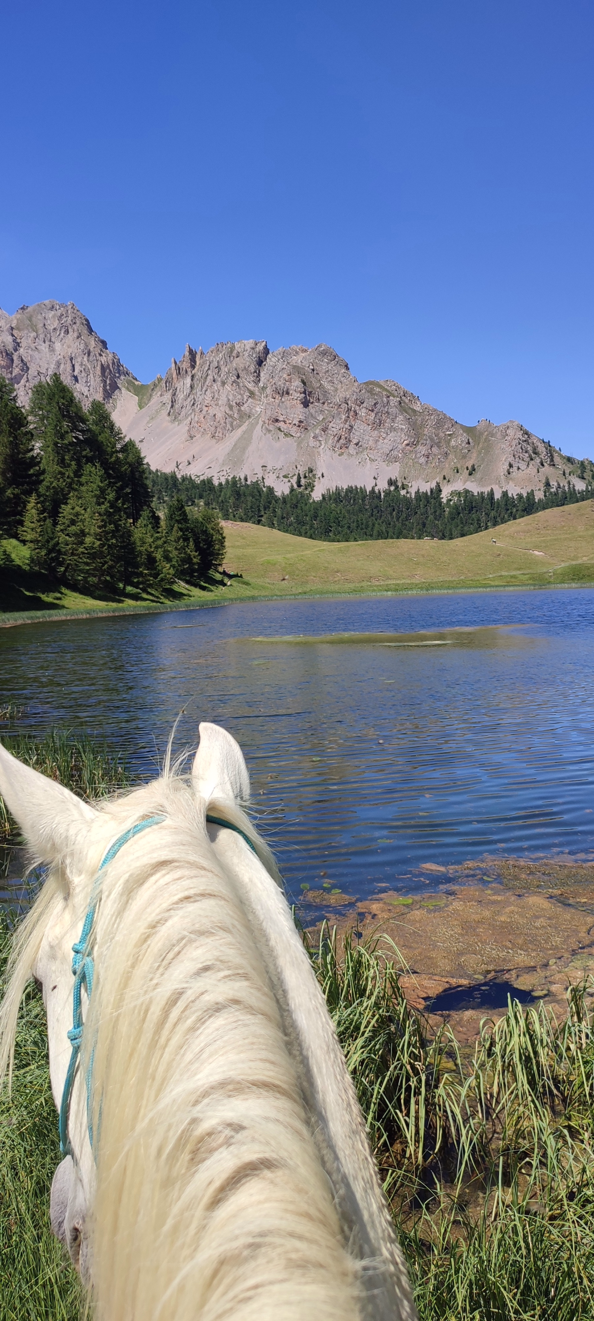 Trek des lacs et panoramas du Viso en Queyras