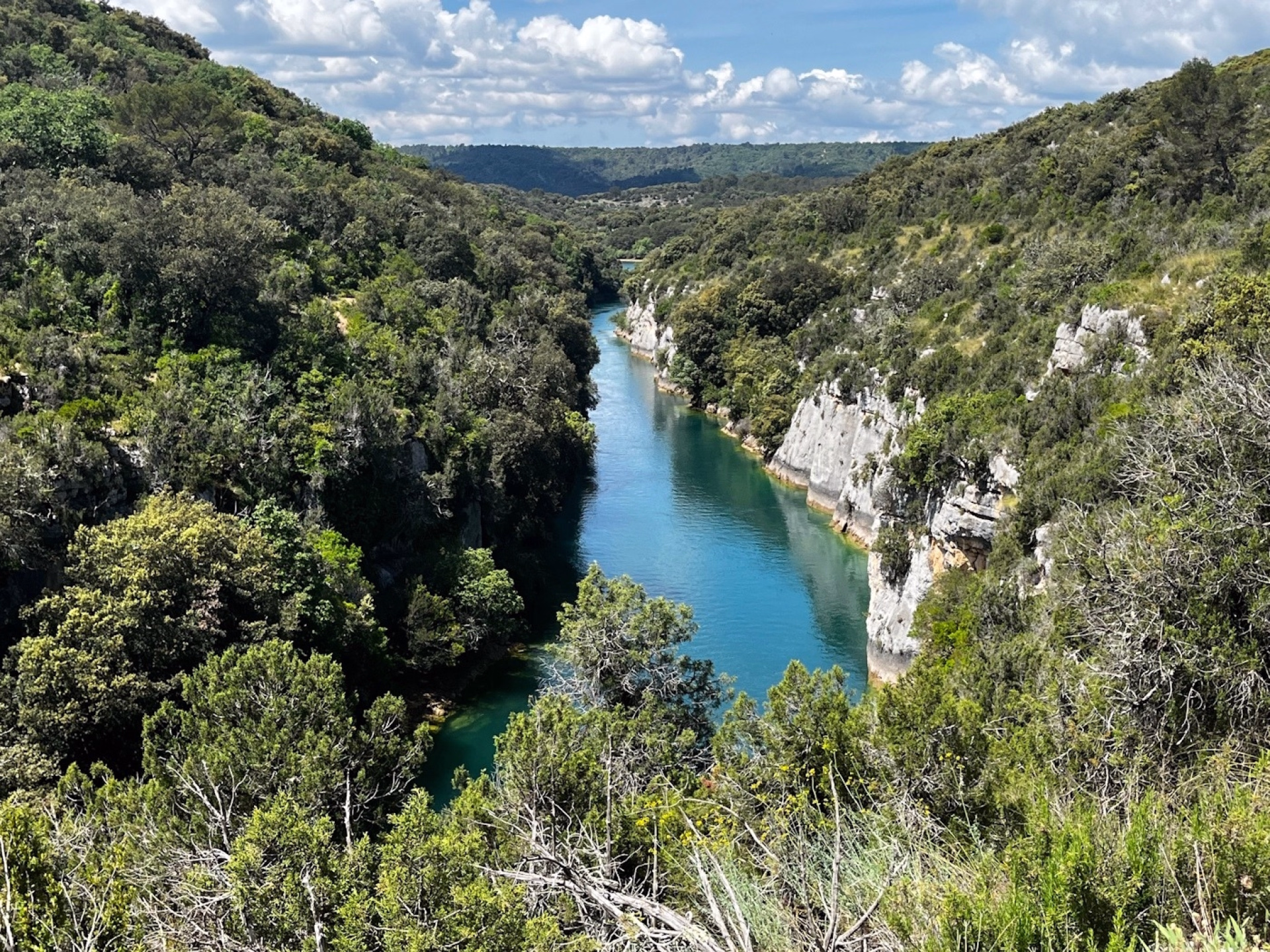 Yoga et découverte du Verdon, pension complète végétarienne.