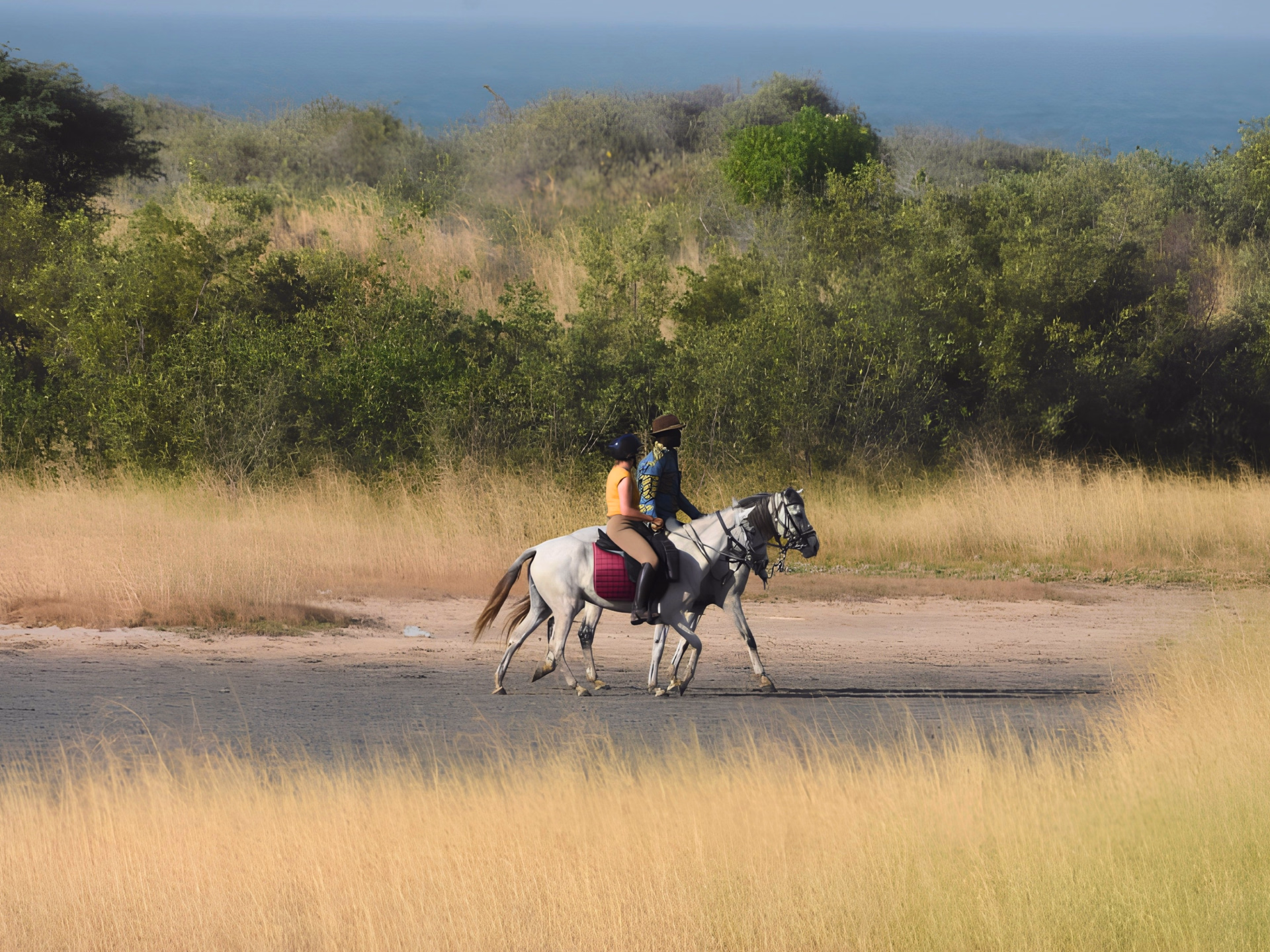 Safari à cheval dans le Sine Saloum au Sénégal