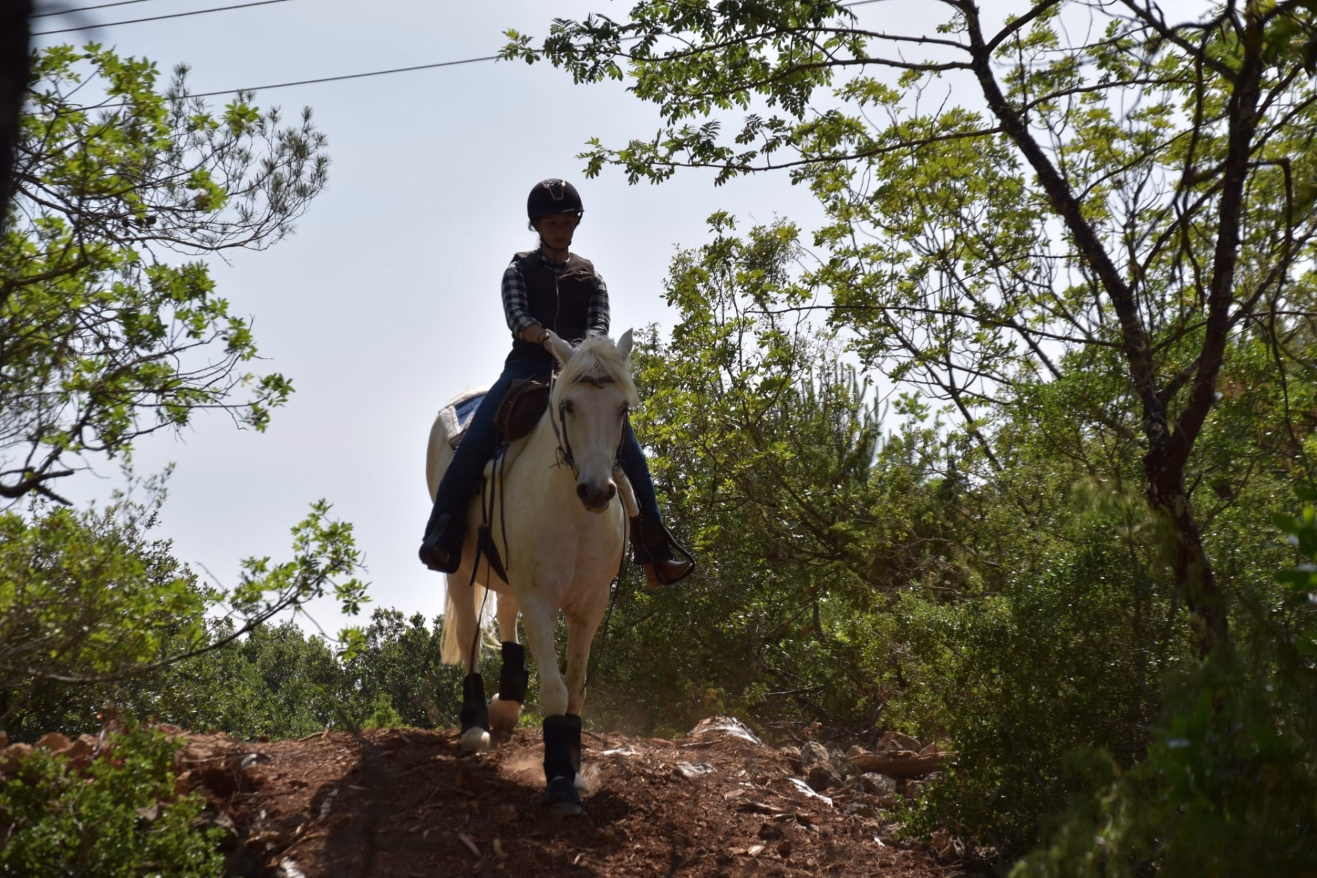 Week-end d'initiation au western et immersion ranch all inclusive