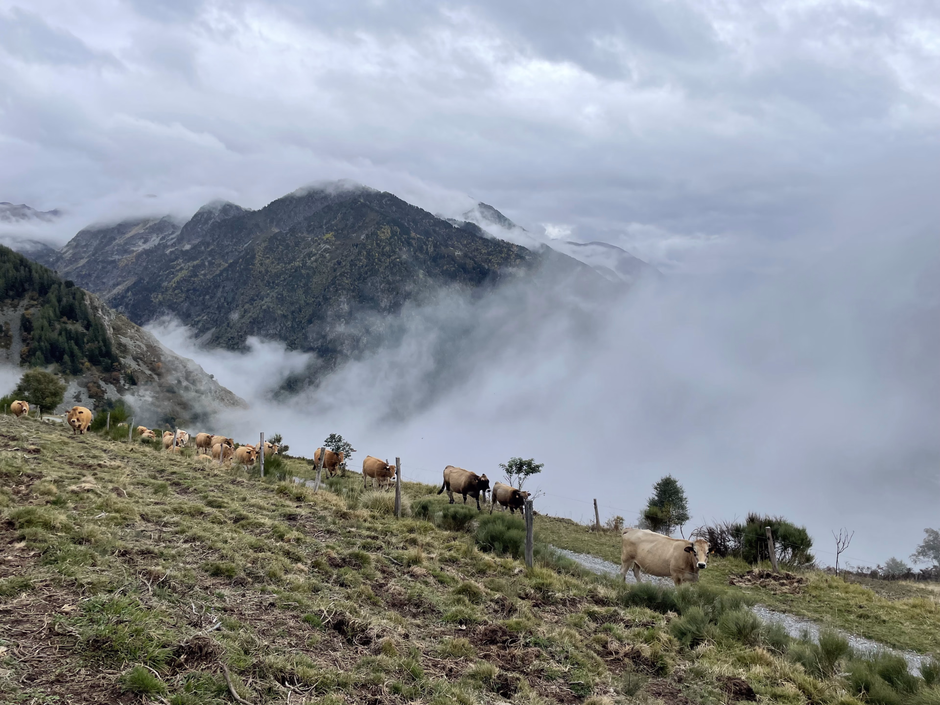 Photo paysage de randonnée dans les Pyrénées