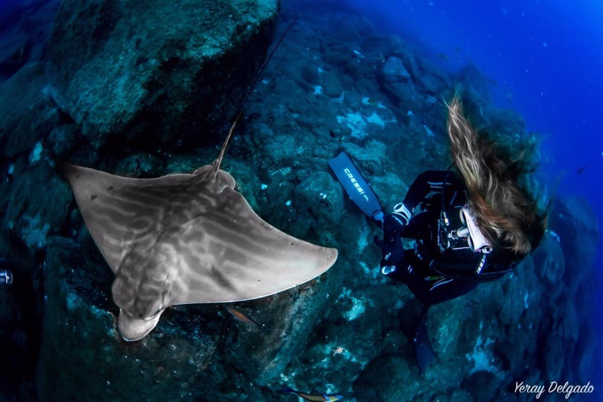 Stage premium de découverte de la plongée à Tenerife