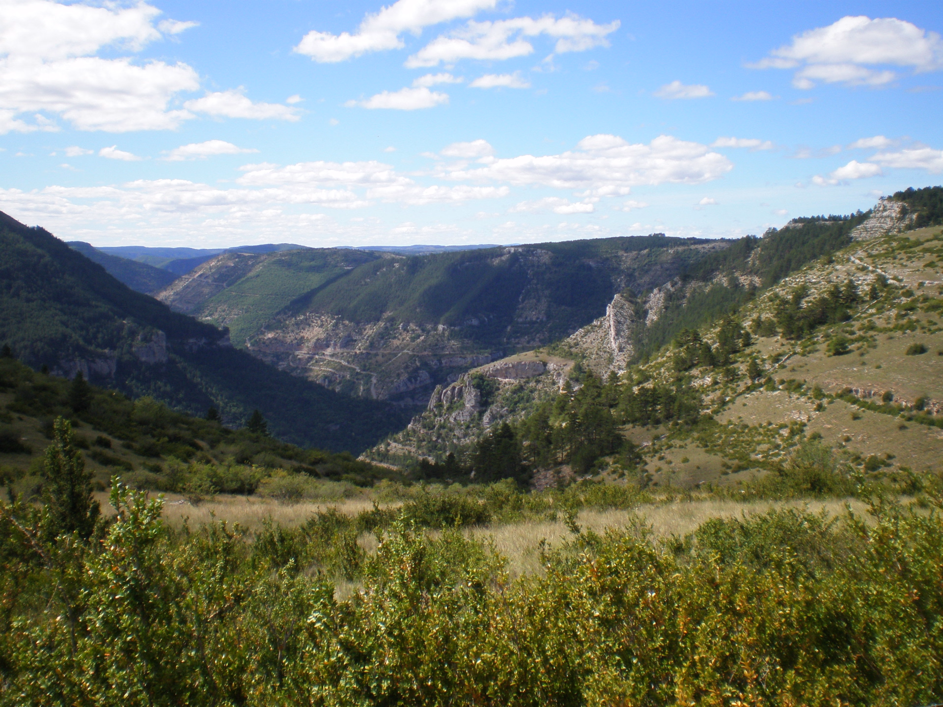 Randonnée au cœur des Cévennes et des Grands Causses