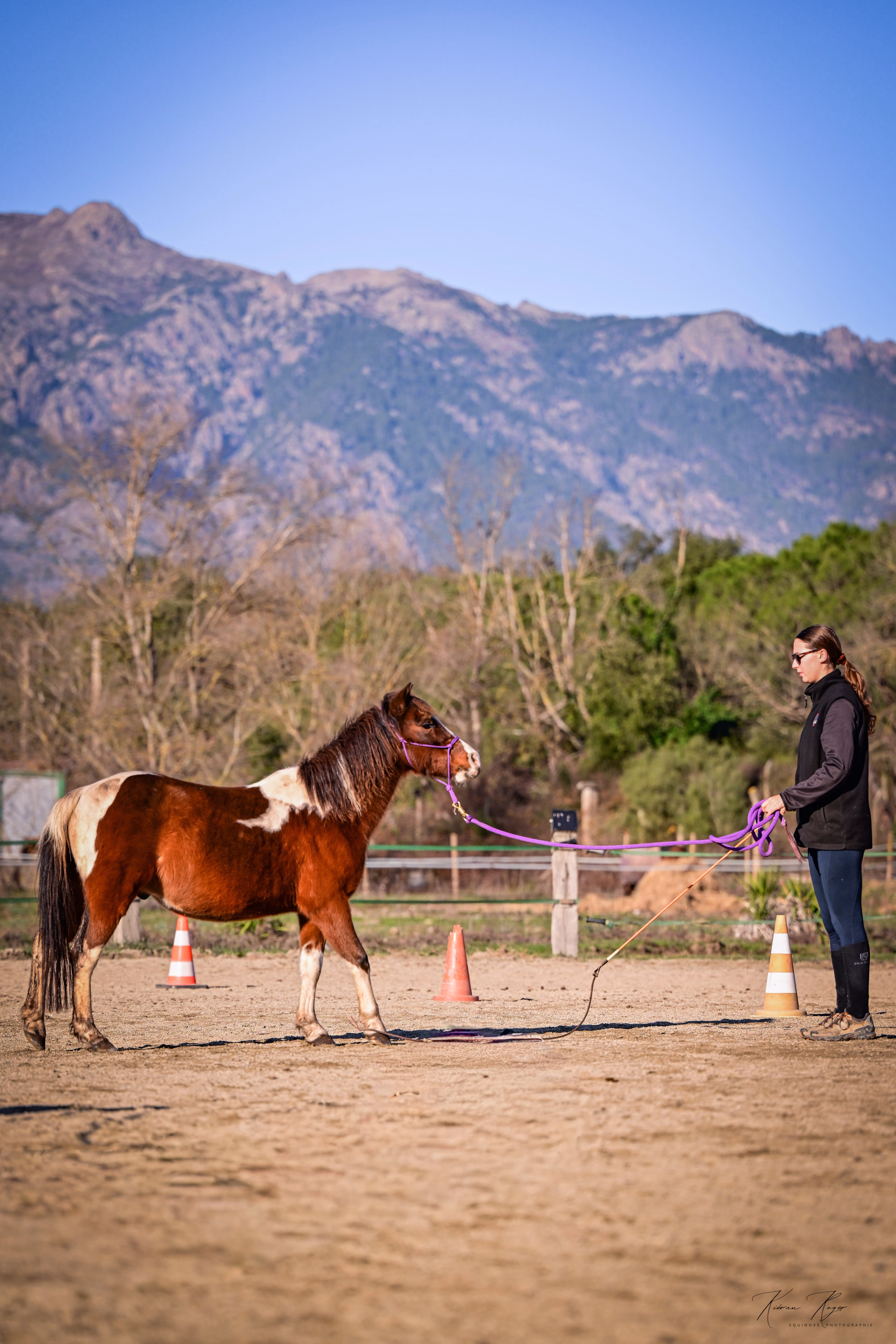 Séjour éthologie à cheval en Corse