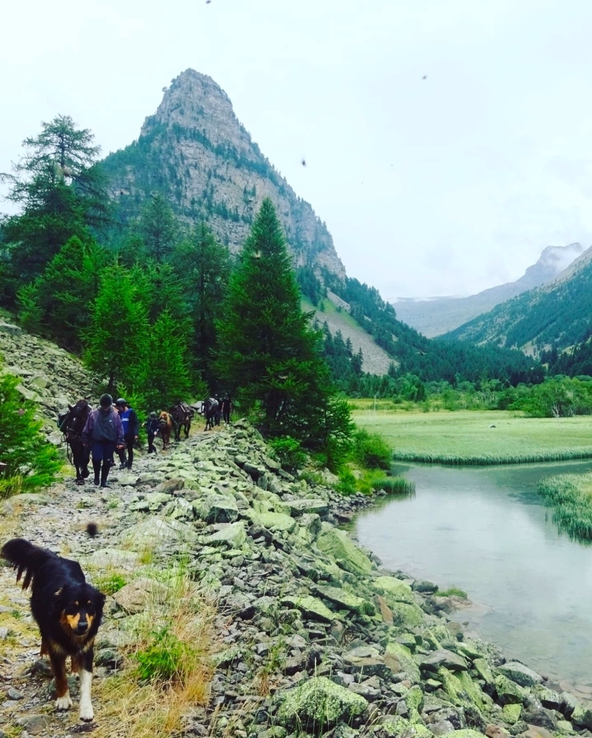 Randonnée à cheval et bivouac au Lac des Sagnes
