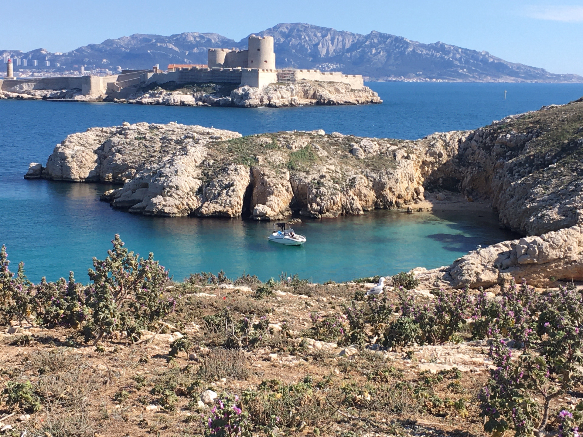 Randonnée entre mer et falaises dans les Calanques