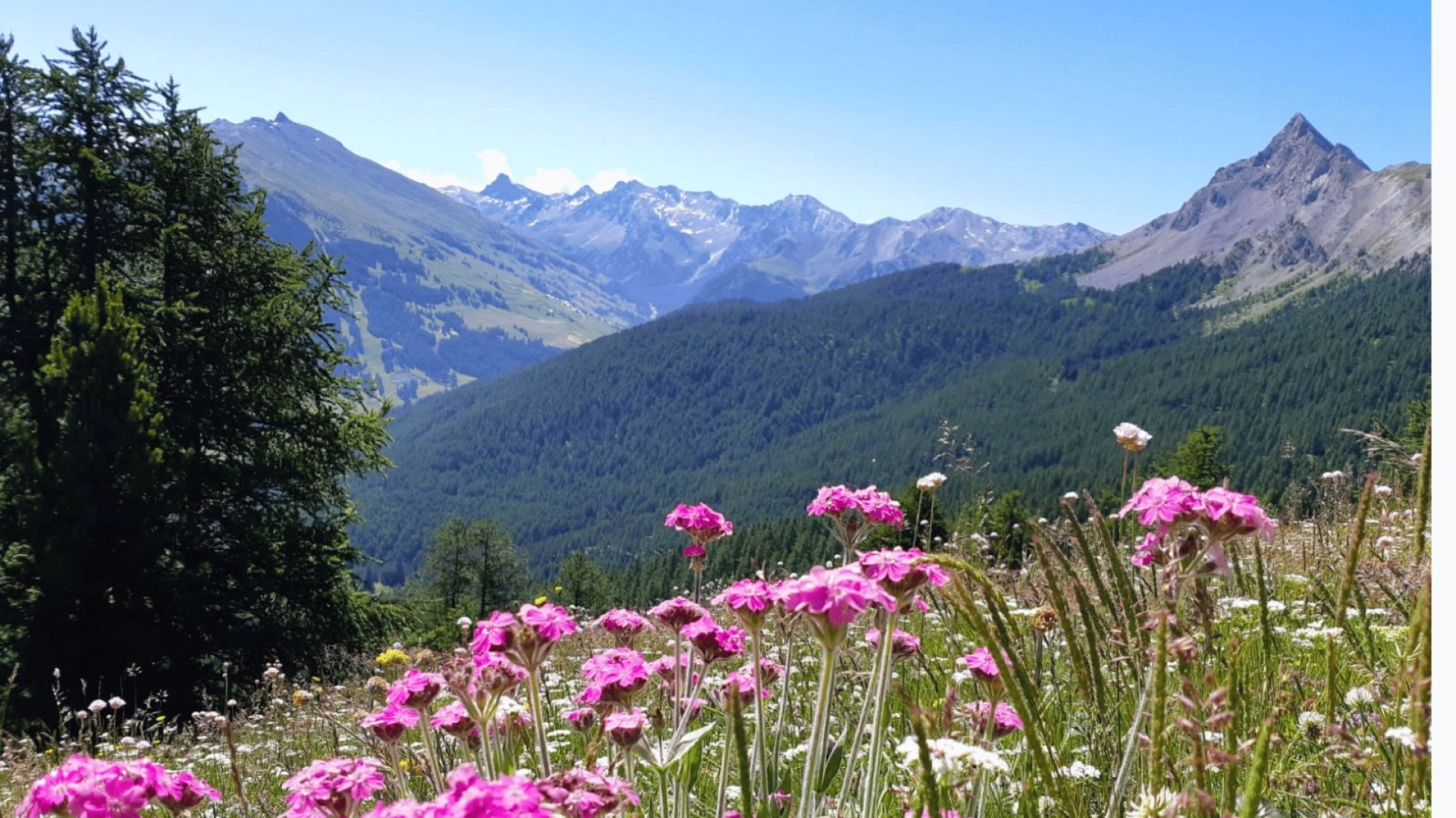 Yoga & randonnée dans le Queyras