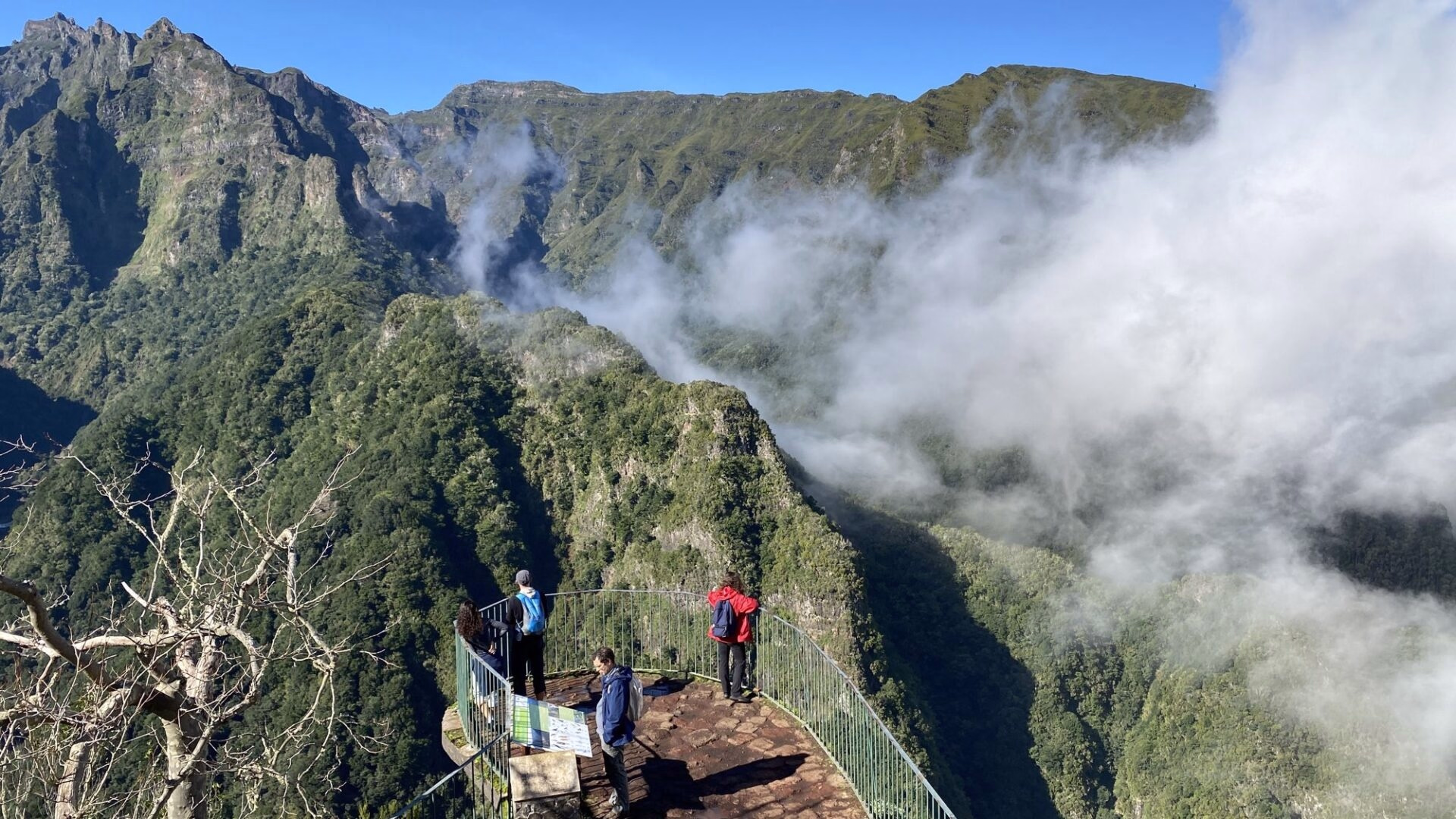 Aventure à Madère entre levadas et sommets sauvages