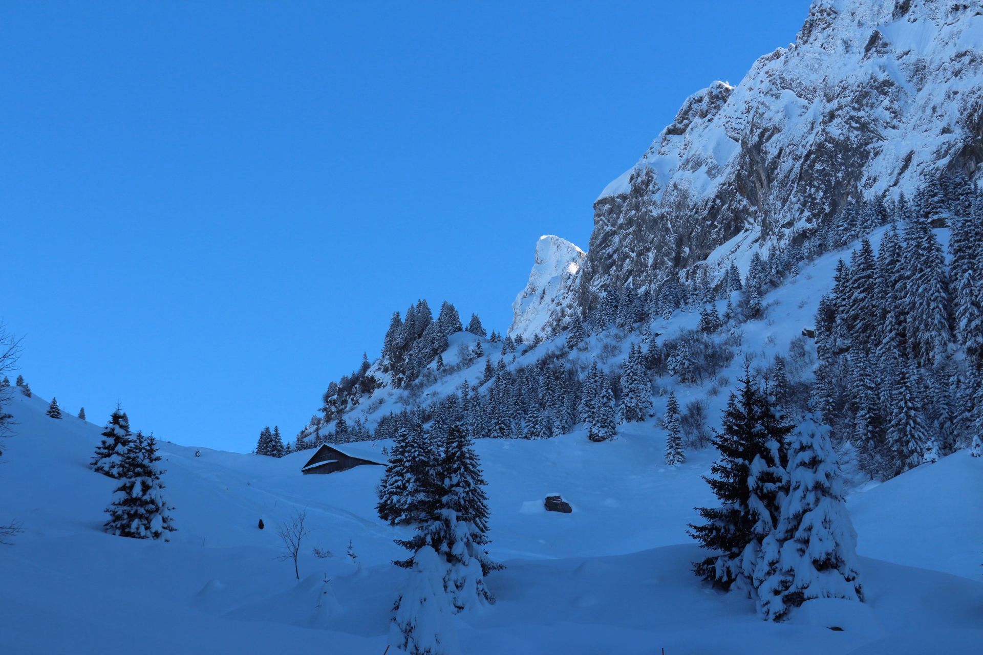 Raquettes dans le Haut-Giffre sur les hauteurs de Samoëns
