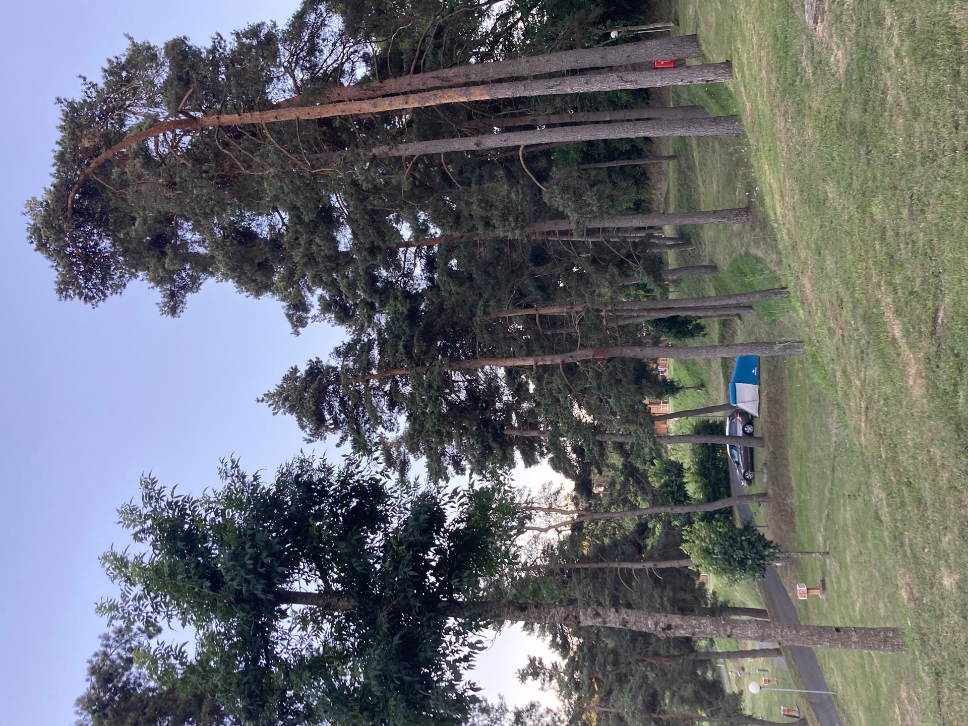 ⛺️ Camping - Jours 1 à 5