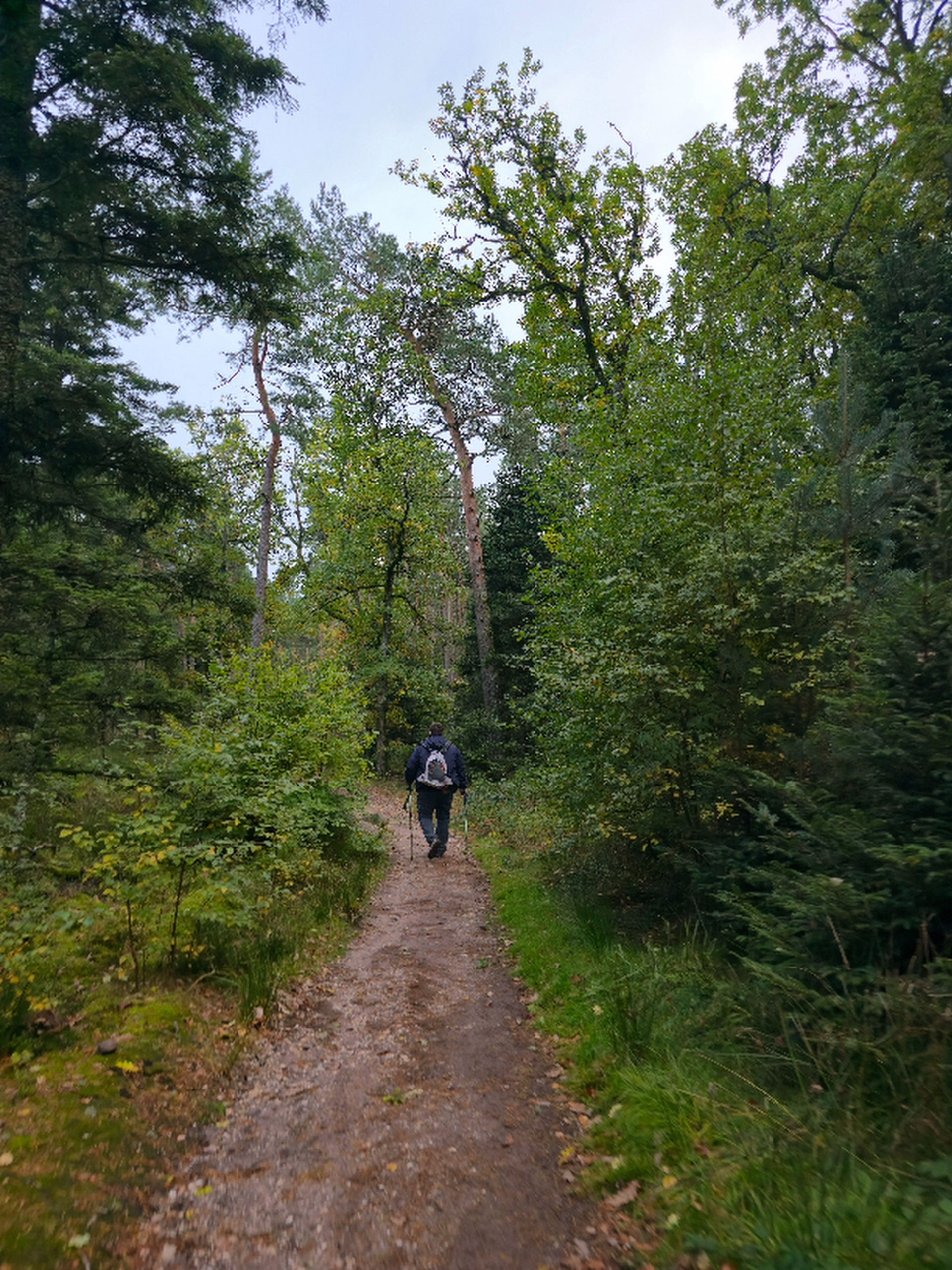 Randonnée et observation de la faune sauvage dans les Vosges