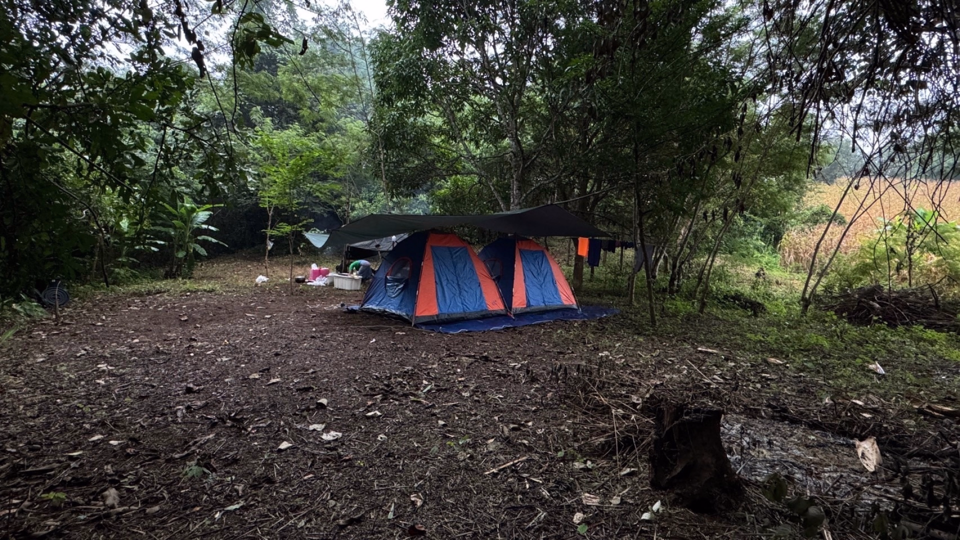 ⛺️ Bivouac/tente