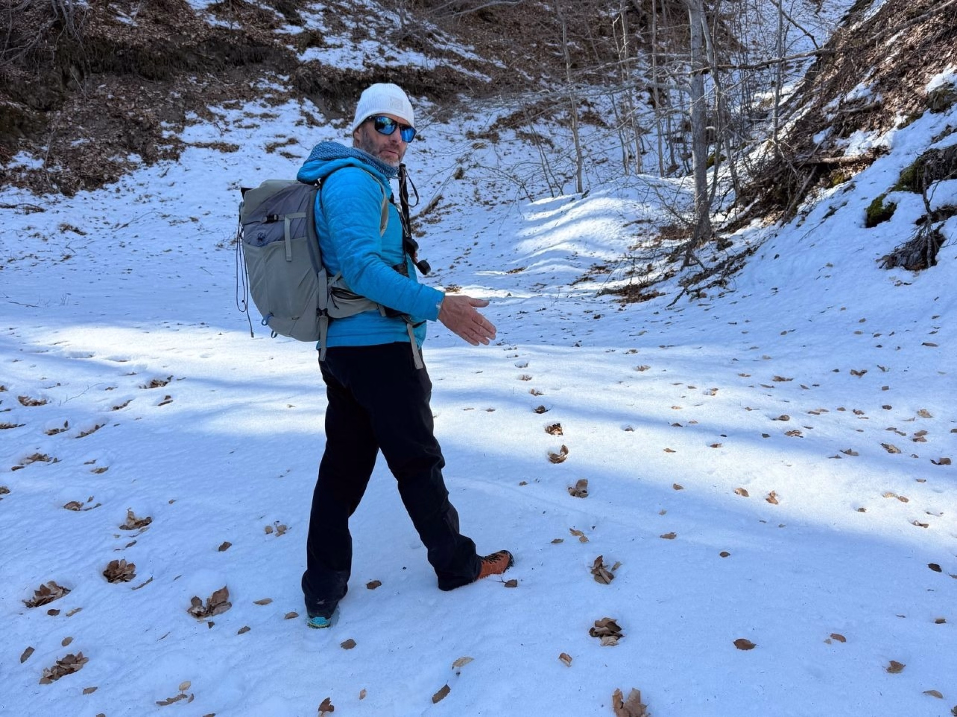 Une aventure sur les traces des loups dans les Alpes
