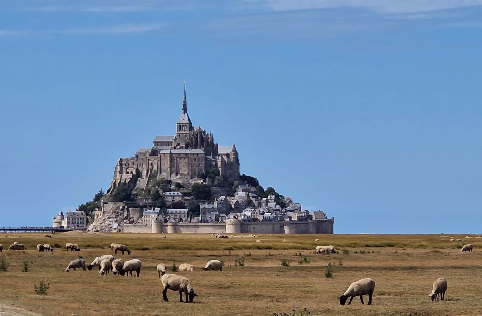 Trek, Le Mont Saint Michel et ses merveilles !