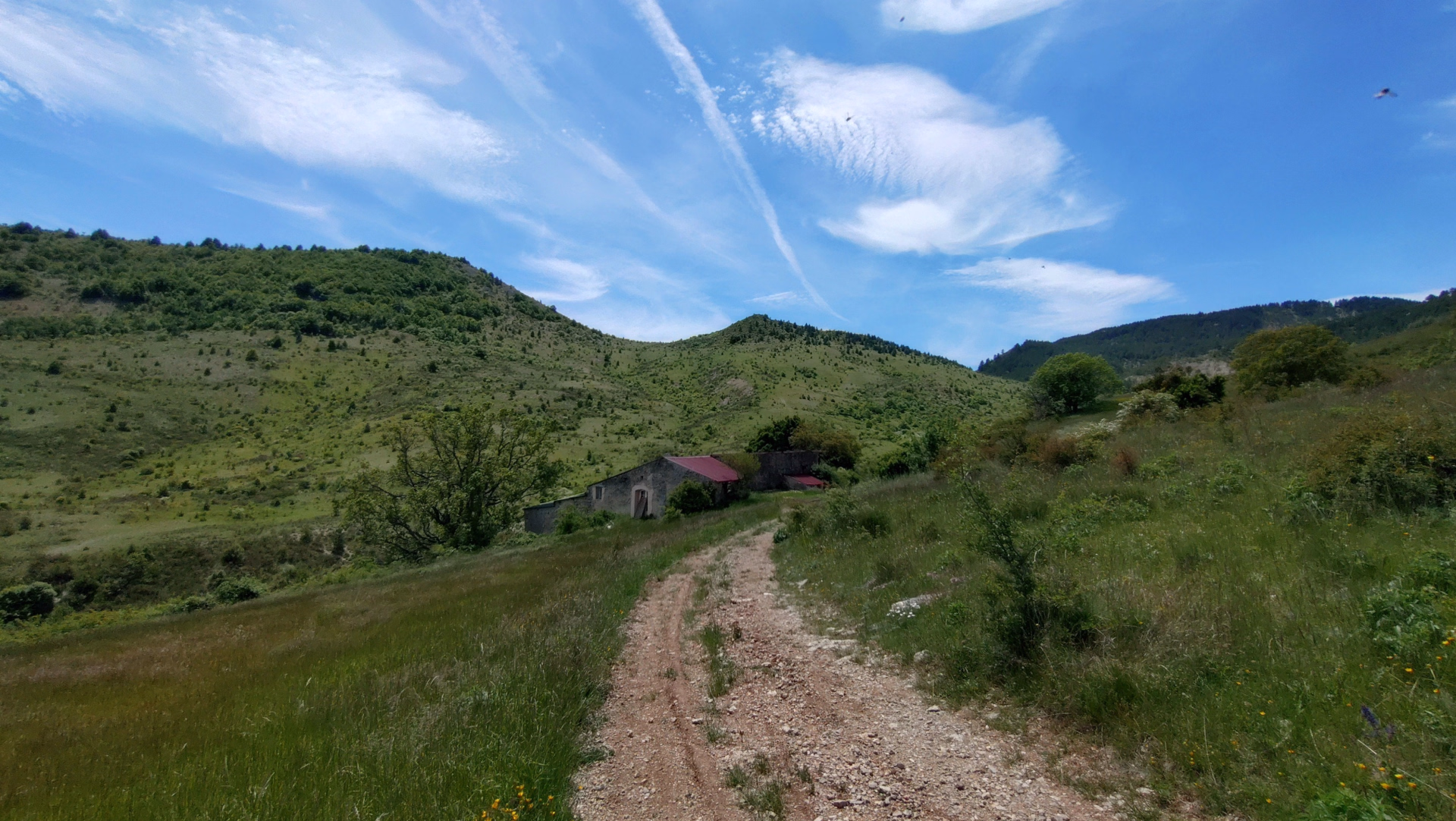 Rando cheval et yoga dans les Hautes-Alpes